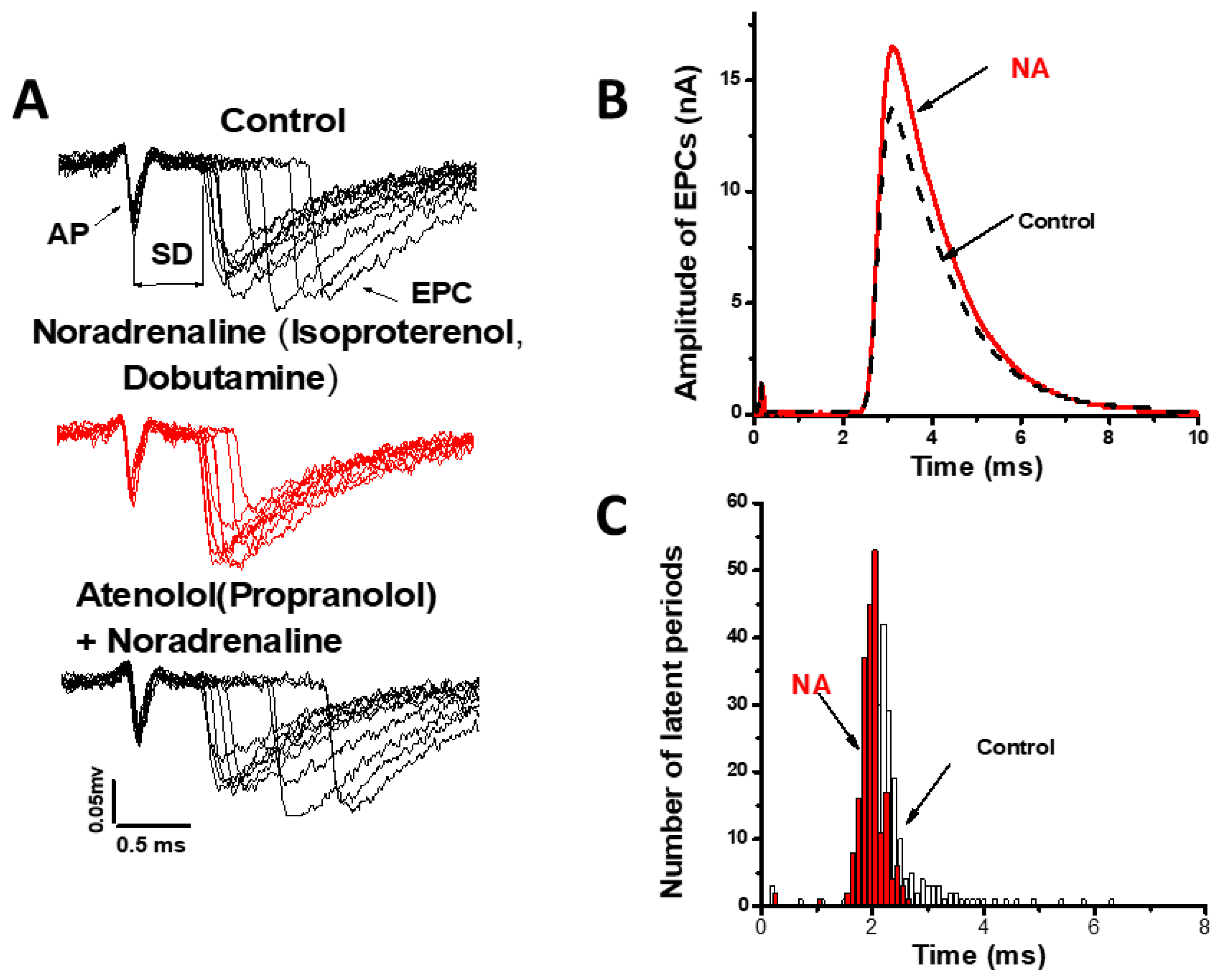 Ijms 22 04611 g002 Ijms 22 04611 g002