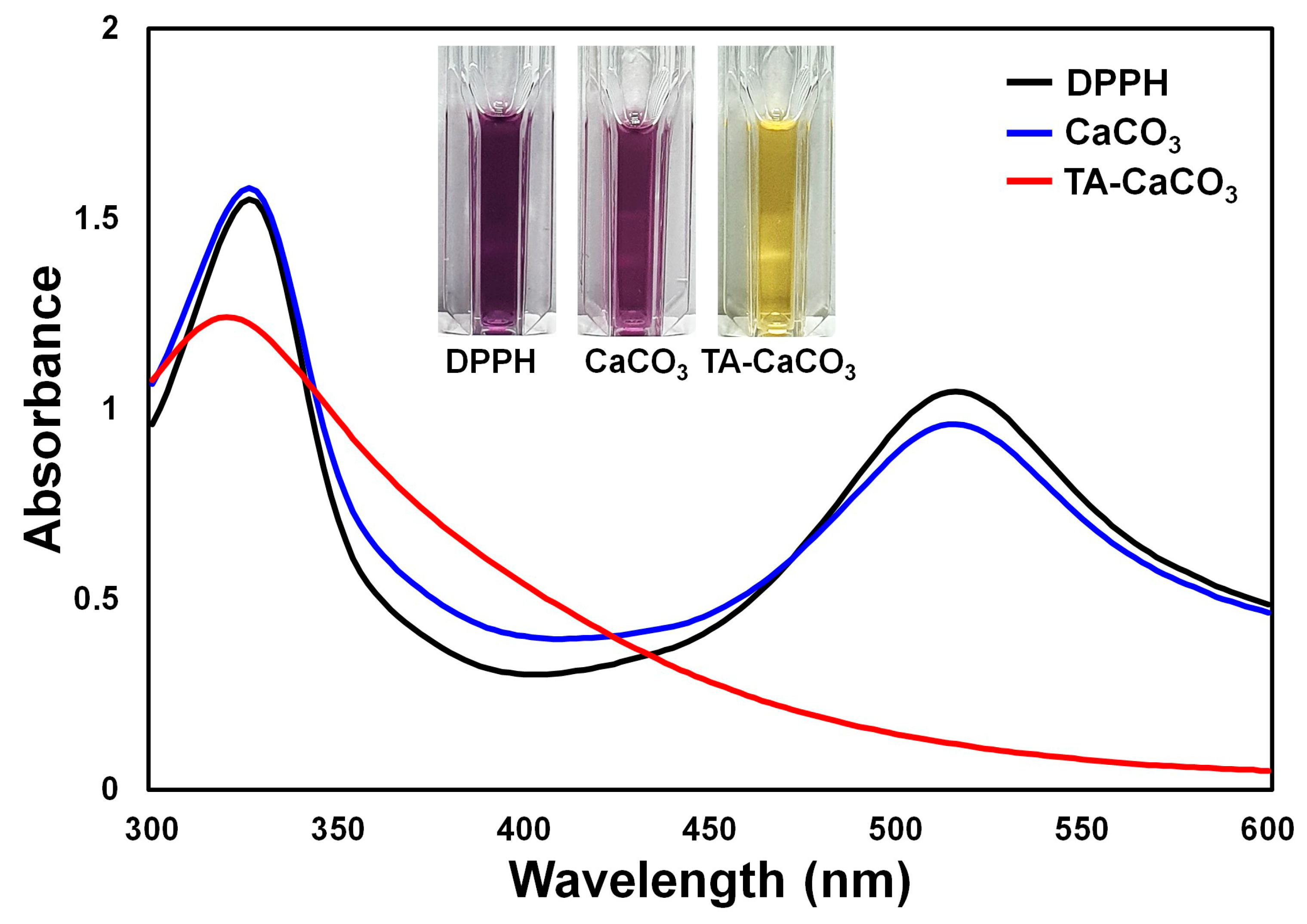Ijms 22 04614 g006 Ijms 22 04614 g006