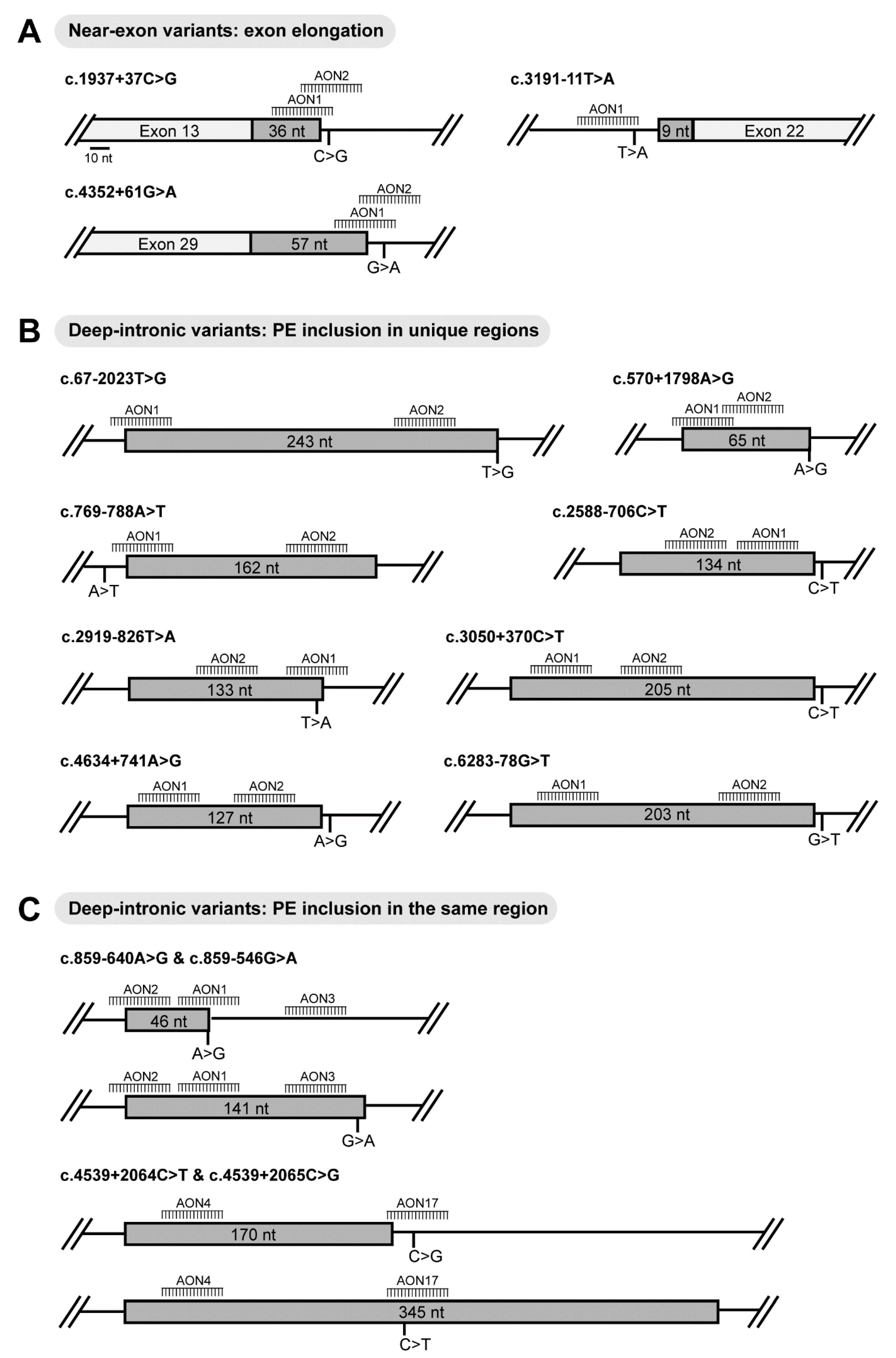 Ijms 22 04621 g001 Ijms 22 04621 g001