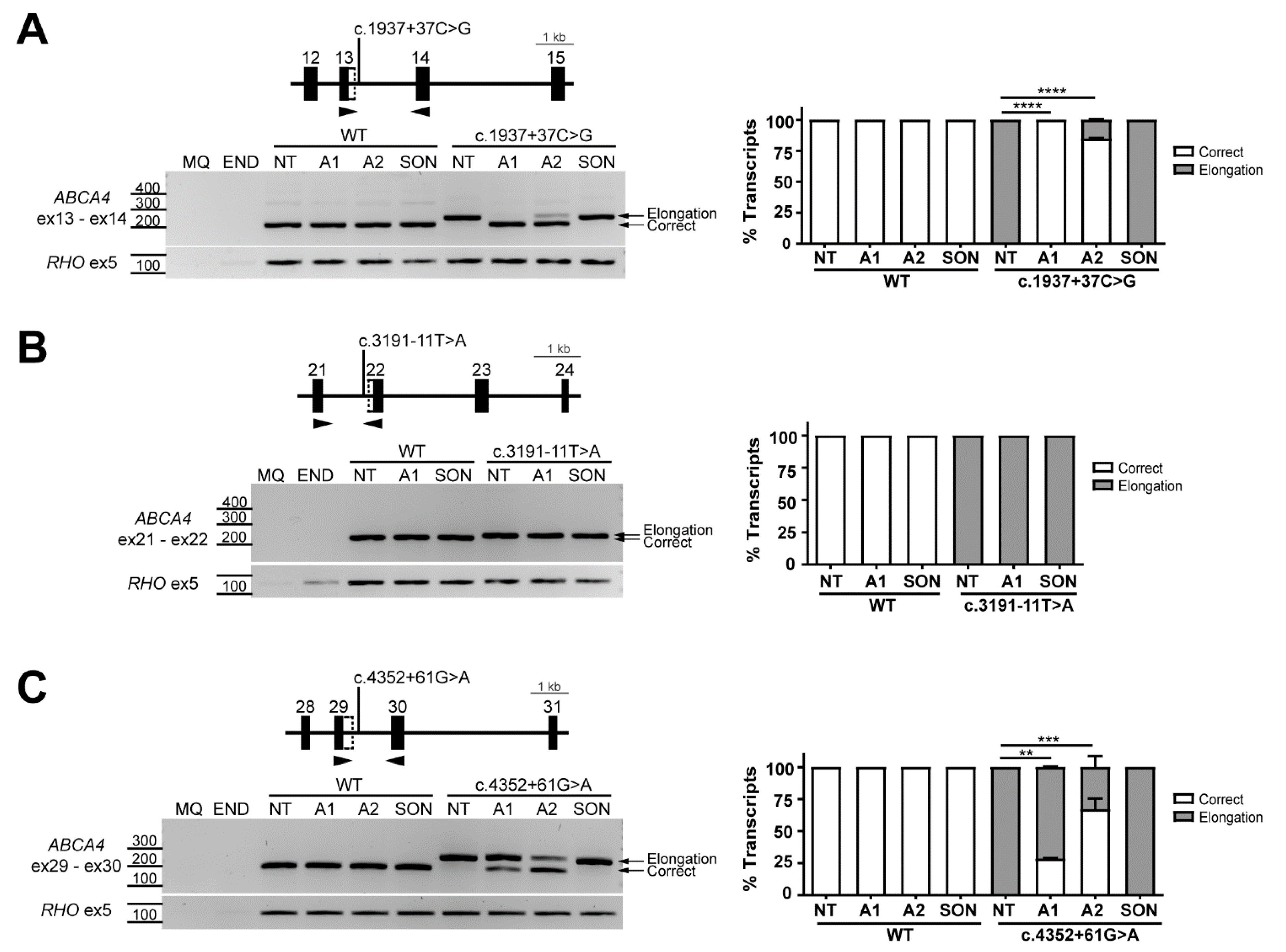 Ijms 22 04621 g002 Ijms 22 04621 g002