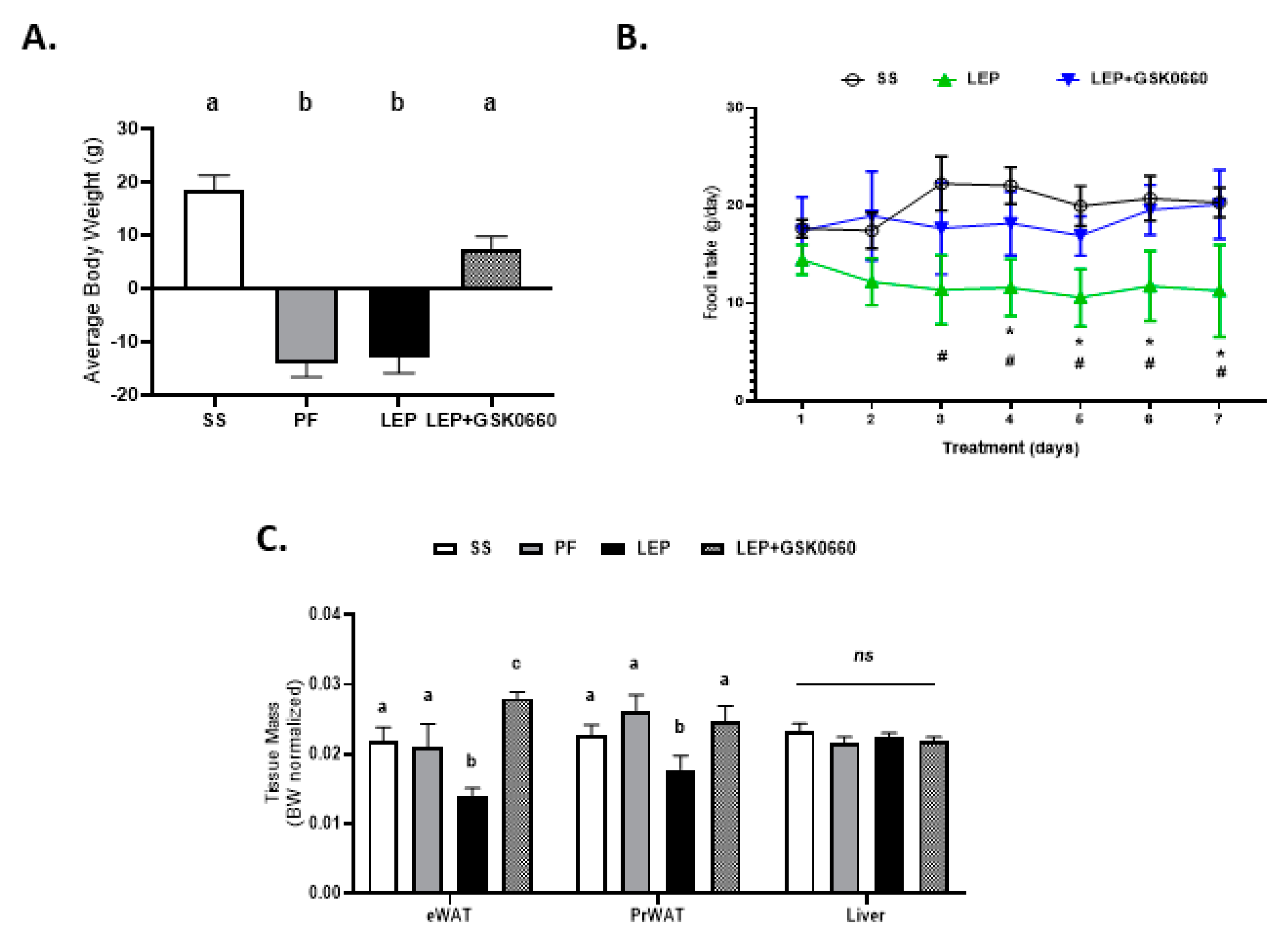 Ijms 22 04624 g001a Ijms 22 04624 g001a