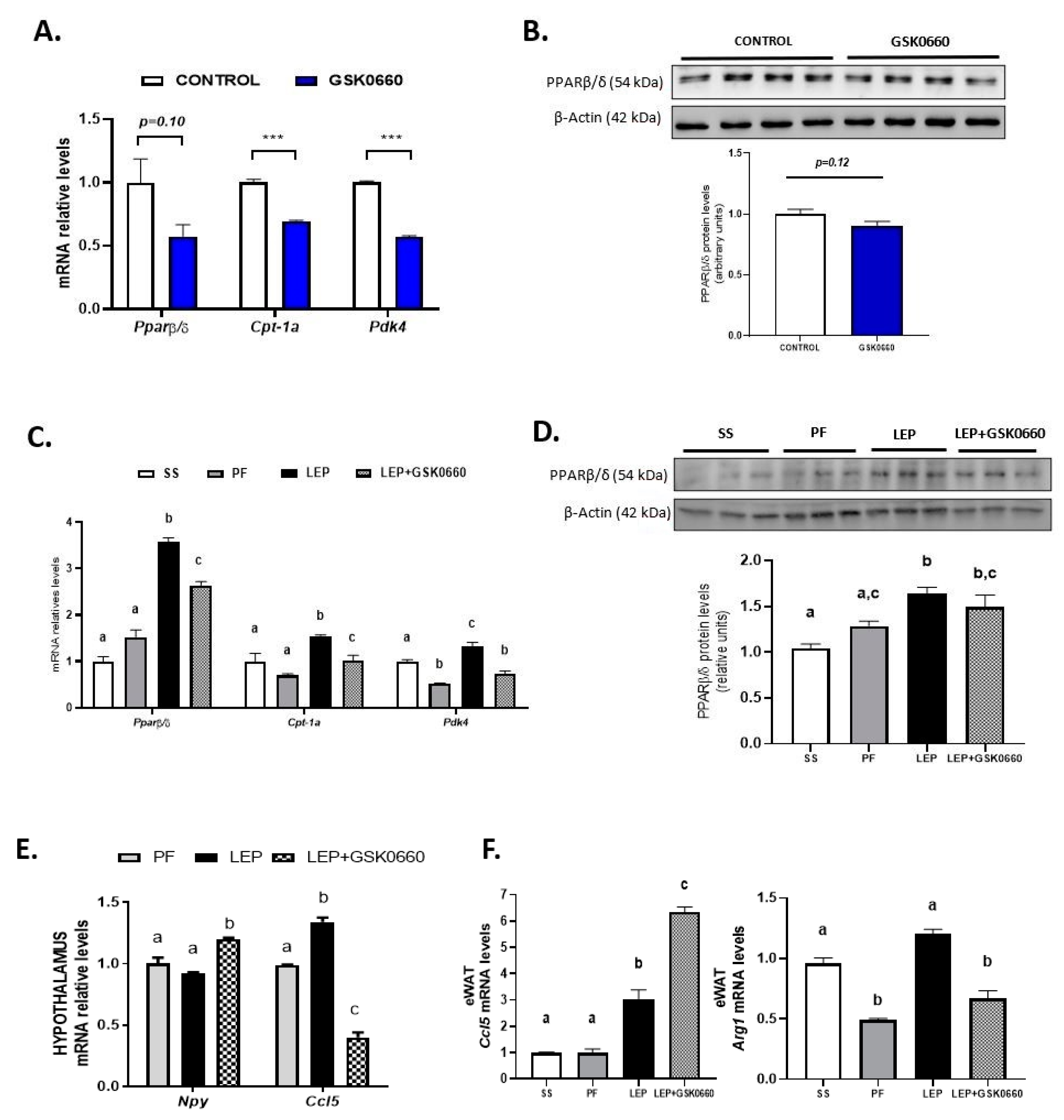 Ijms 22 04624 g002 Ijms 22 04624 g002
