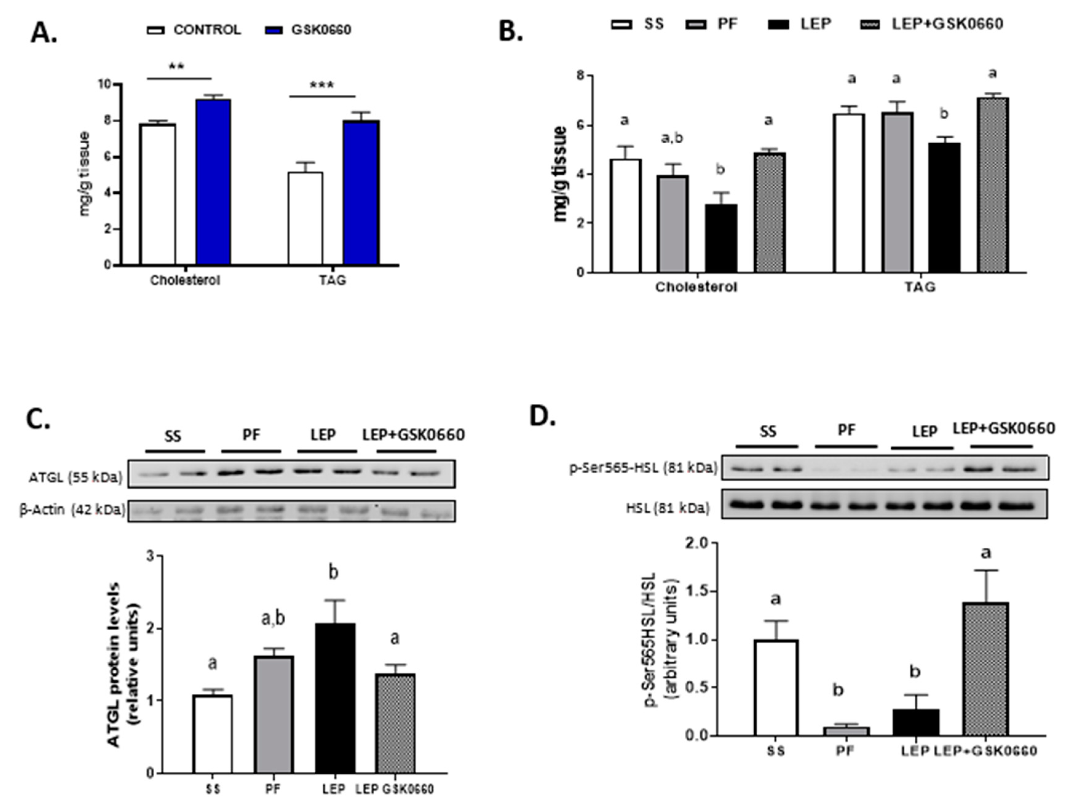 Ijms 22 04624 g003 Ijms 22 04624 g003