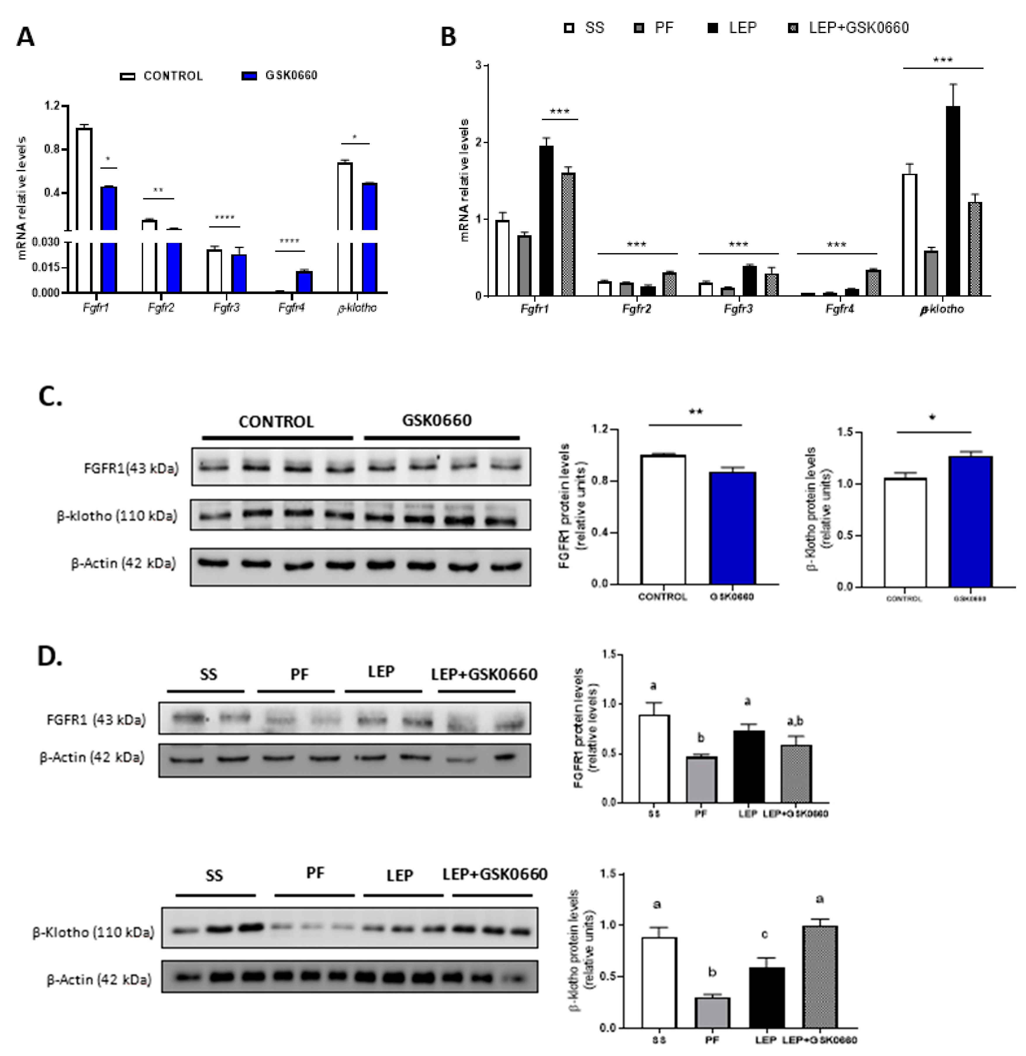 Ijms 22 04624 g004 Ijms 22 04624 g004