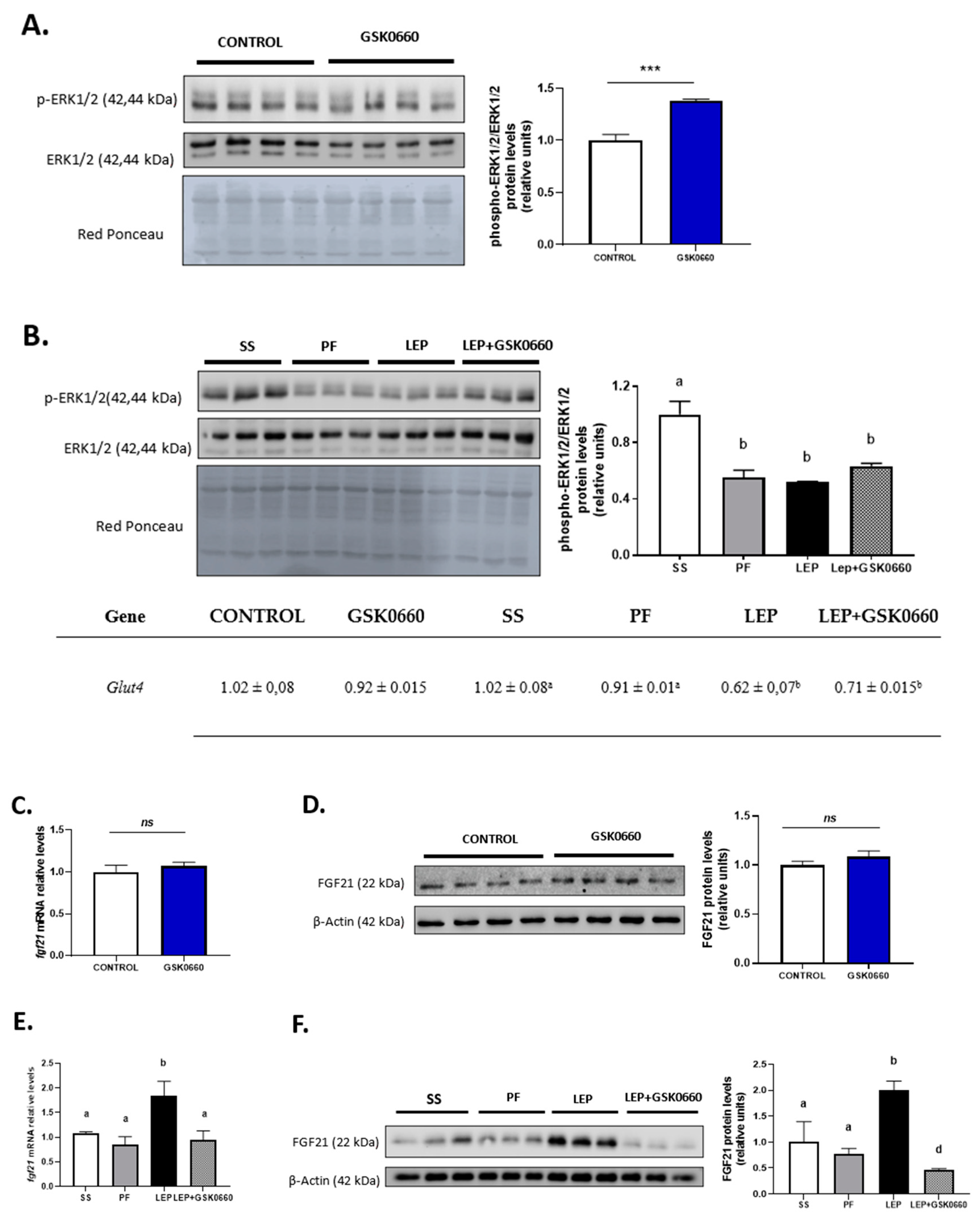 Ijms 22 04624 g005 Ijms 22 04624 g005