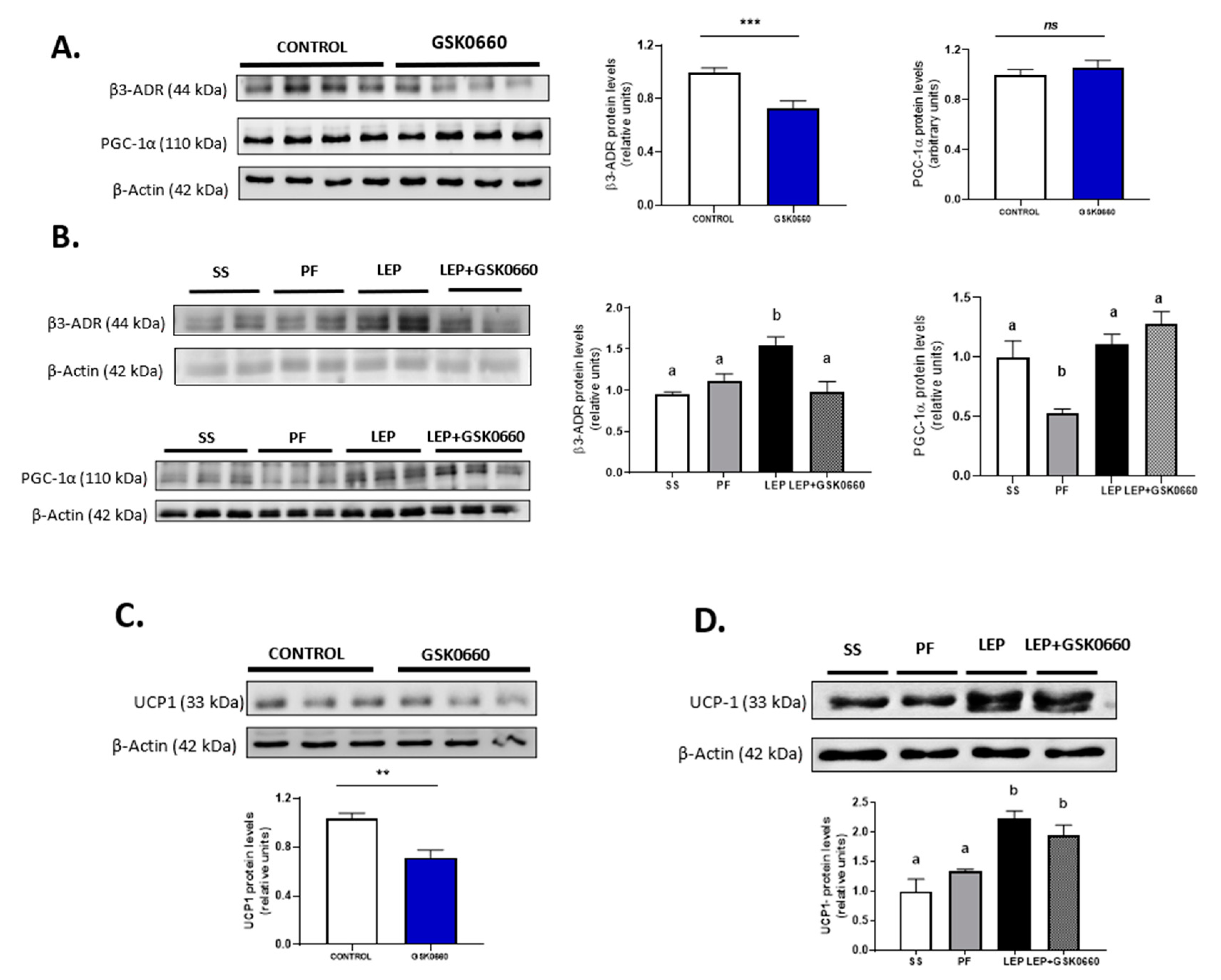 Ijms 22 04624 g006 Ijms 22 04624 g006