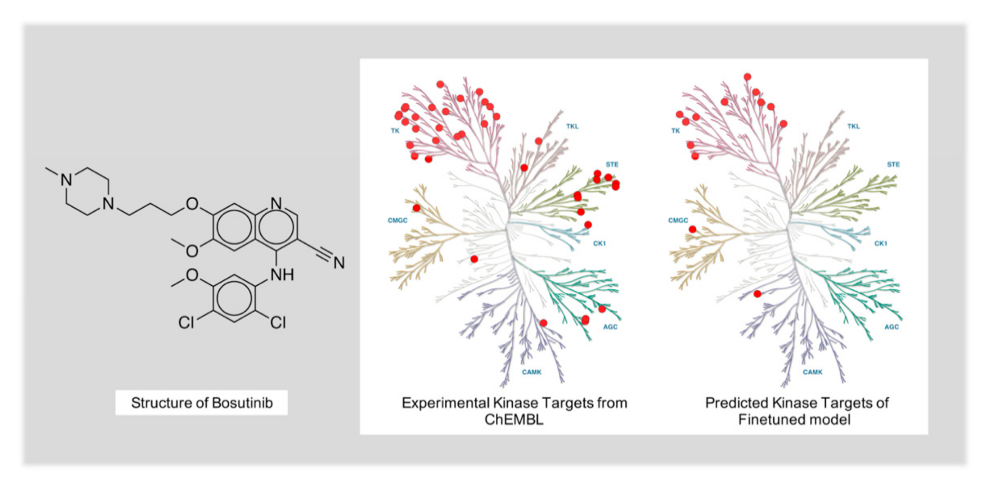 Ijms 22 04632 g009 Ijms 22 04632 g009