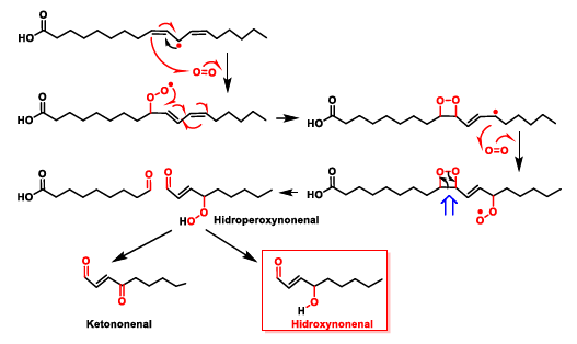 Ijms 22 04642 g013 Ijms 22 04642 g013
