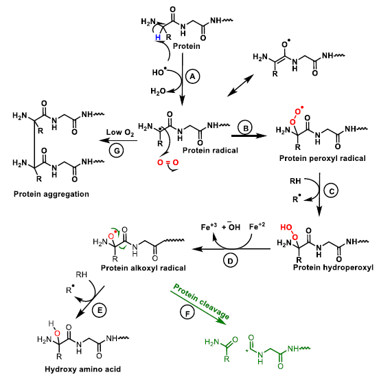 Ijms 22 04642 g016 Ijms 22 04642 g016