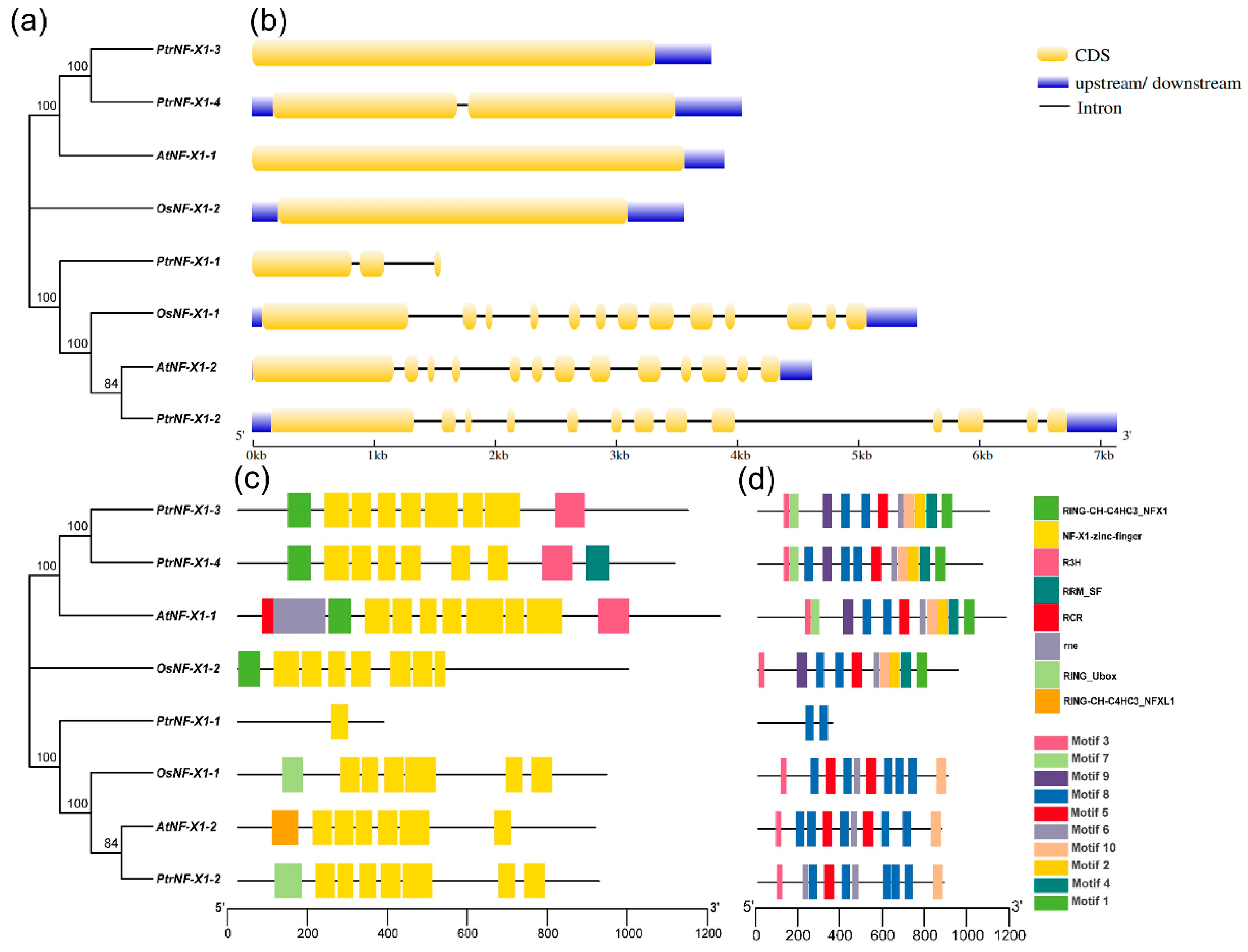 Ijms 22 04664 g002 Ijms 22 04664 g002