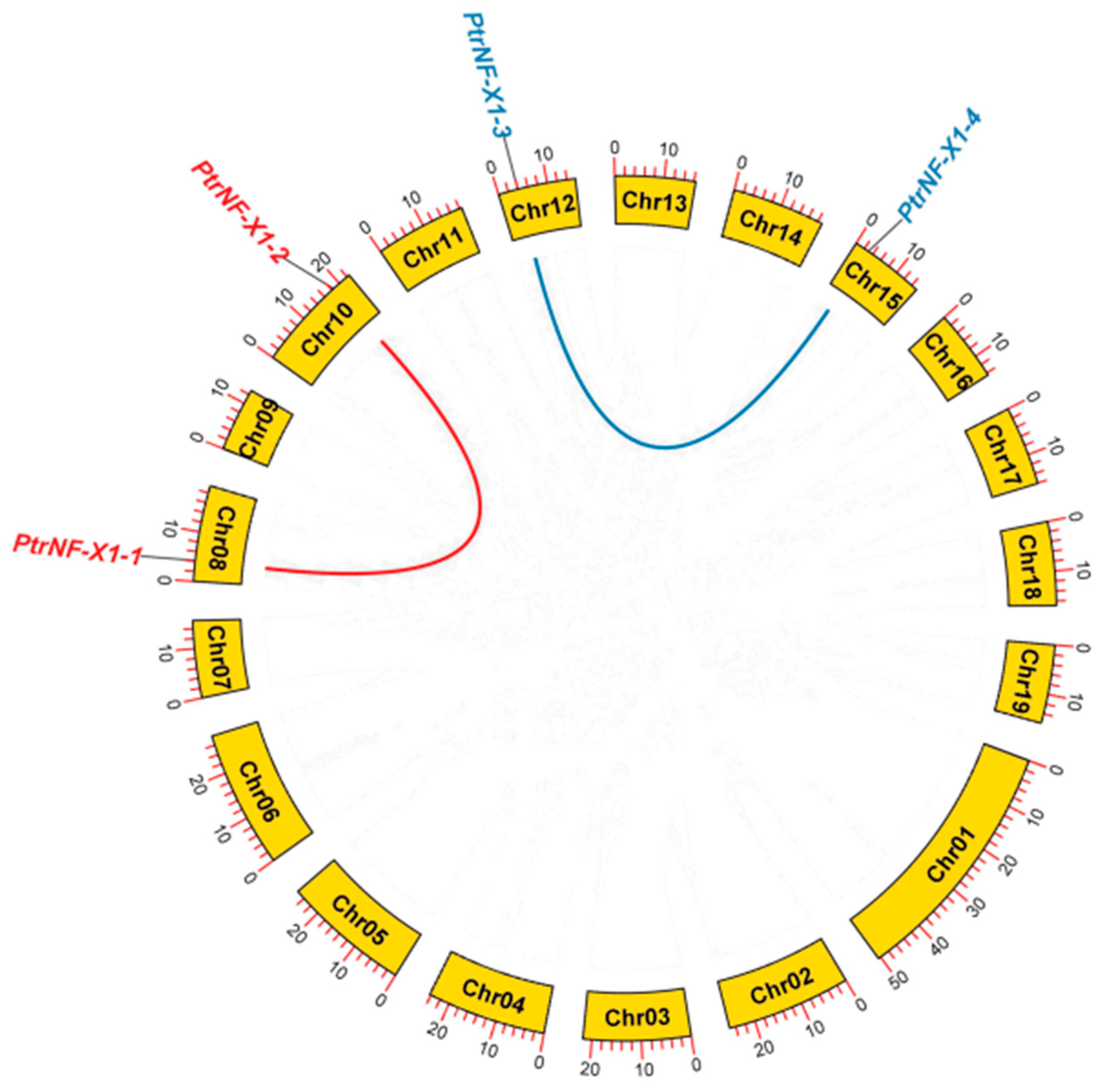 Ijms 22 04664 g003 Ijms 22 04664 g003