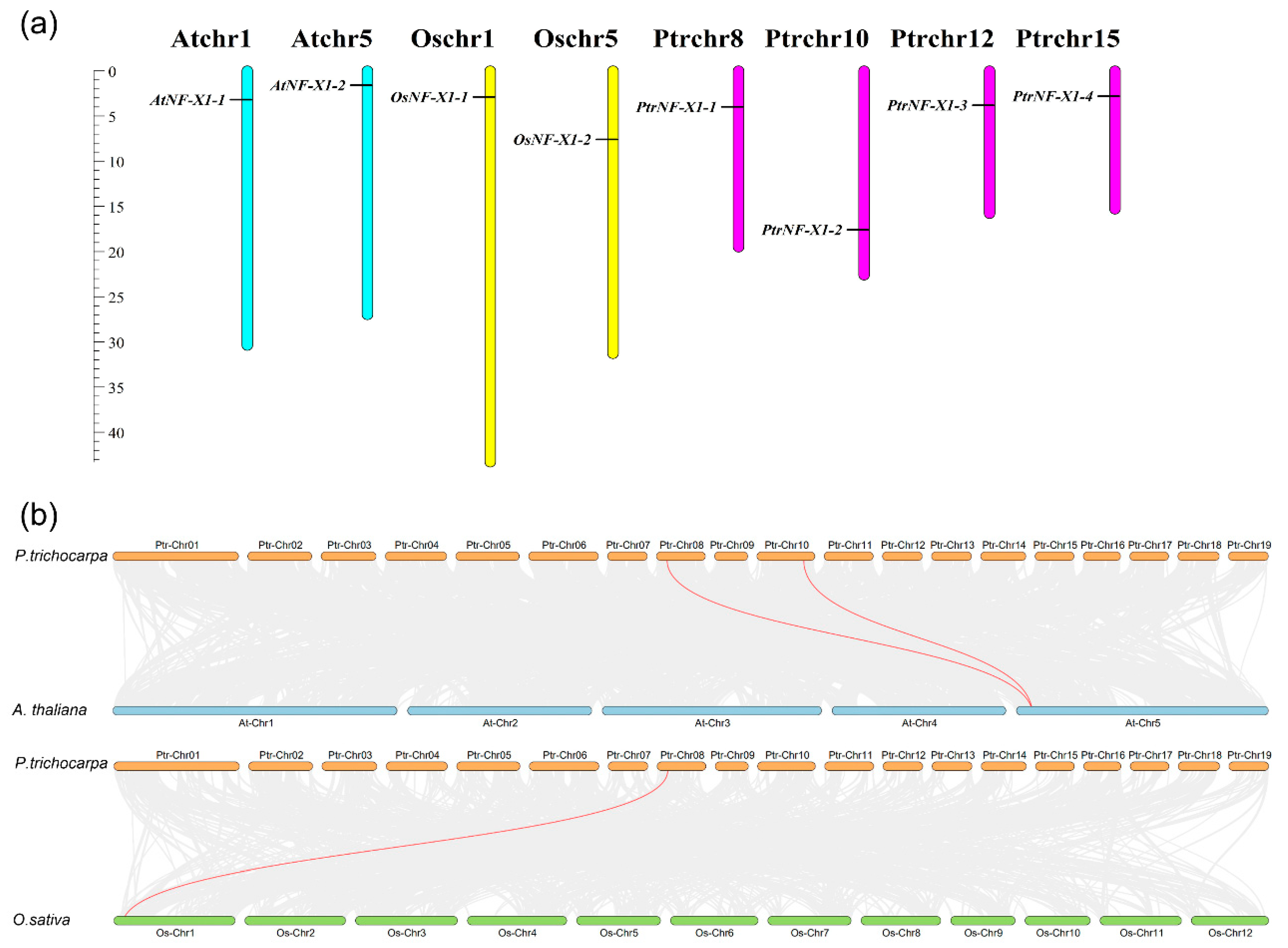 Ijms 22 04664 g004 Ijms 22 04664 g004