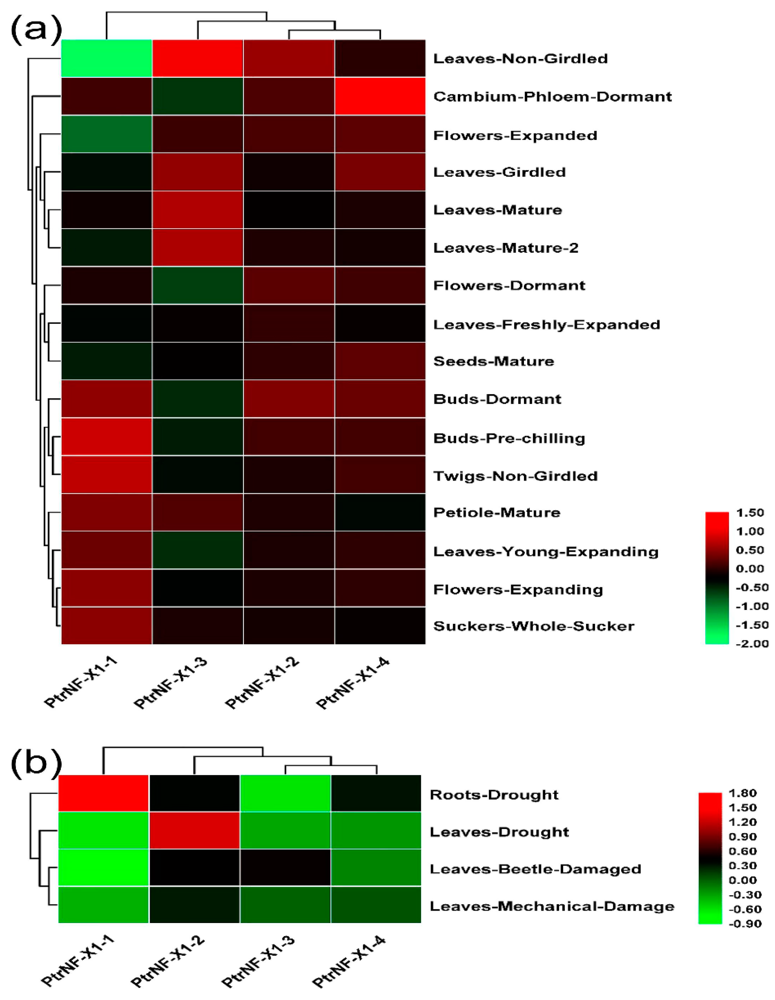 Ijms 22 04664 g006 Ijms 22 04664 g006