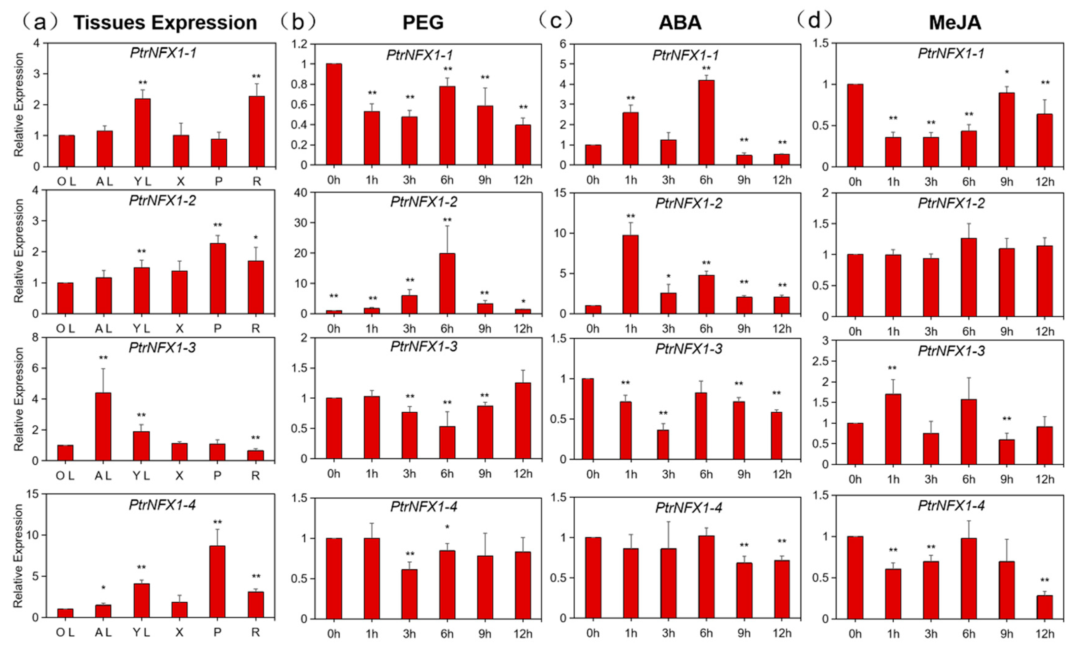 Ijms 22 04664 g007 Ijms 22 04664 g007