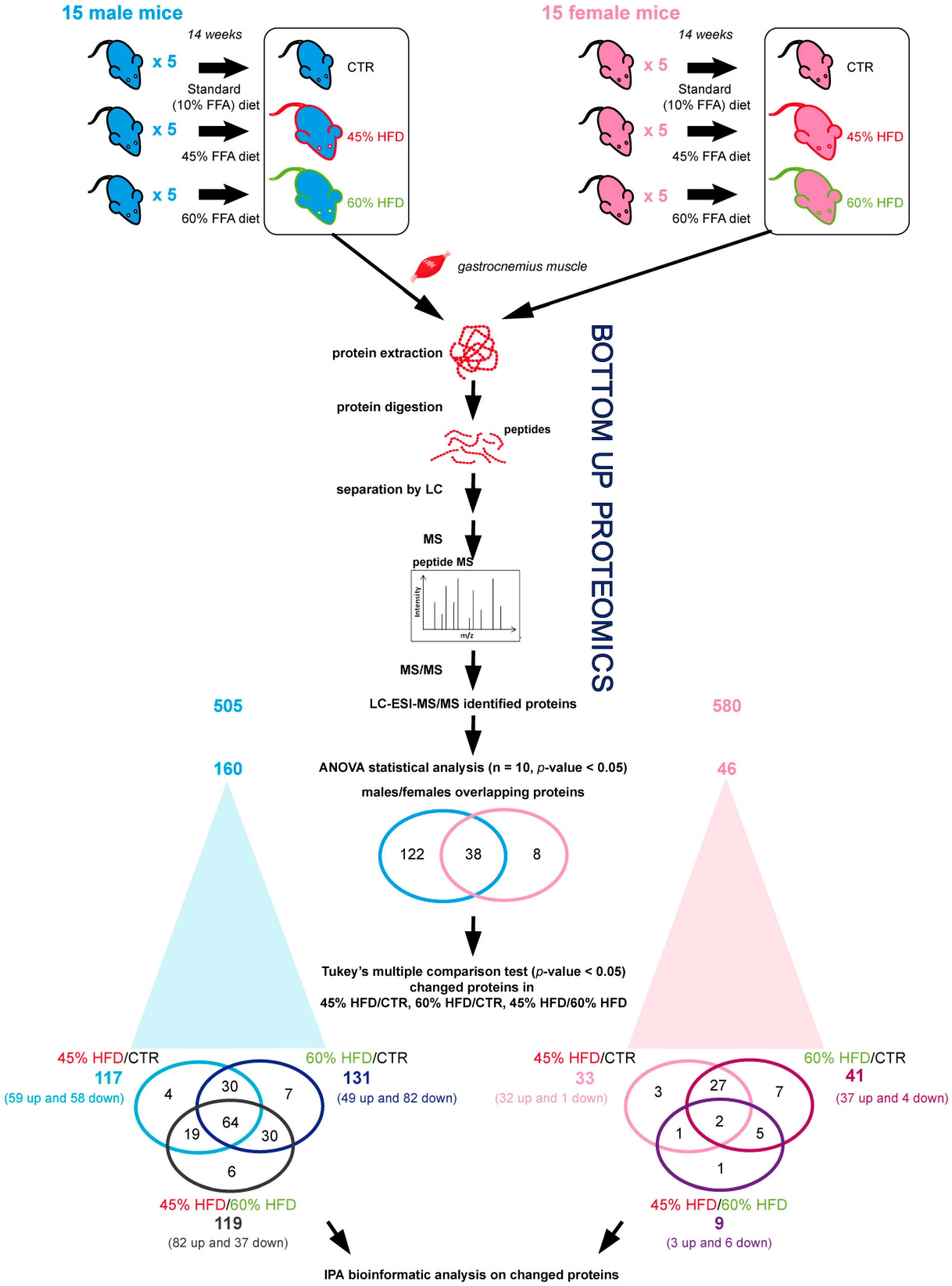 Ijms 22 04680 g002 Ijms 22 04680 g002