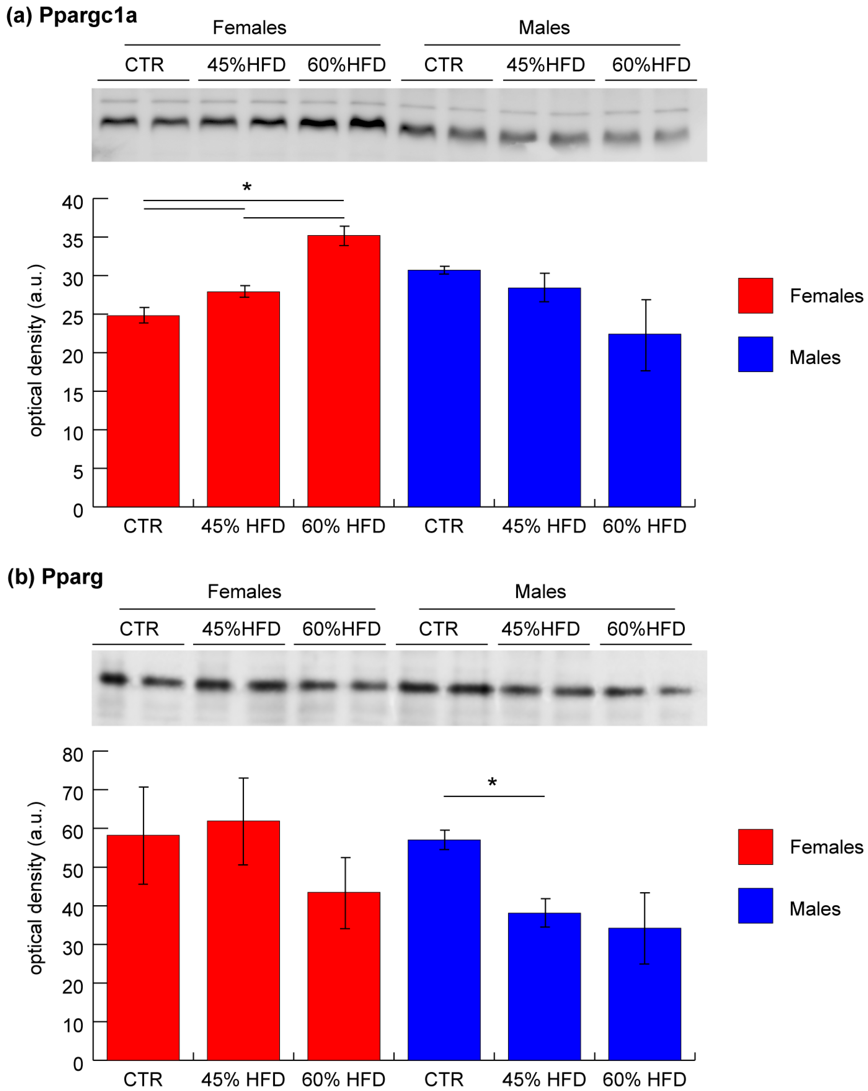 Ijms 22 04680 g008 Ijms 22 04680 g008