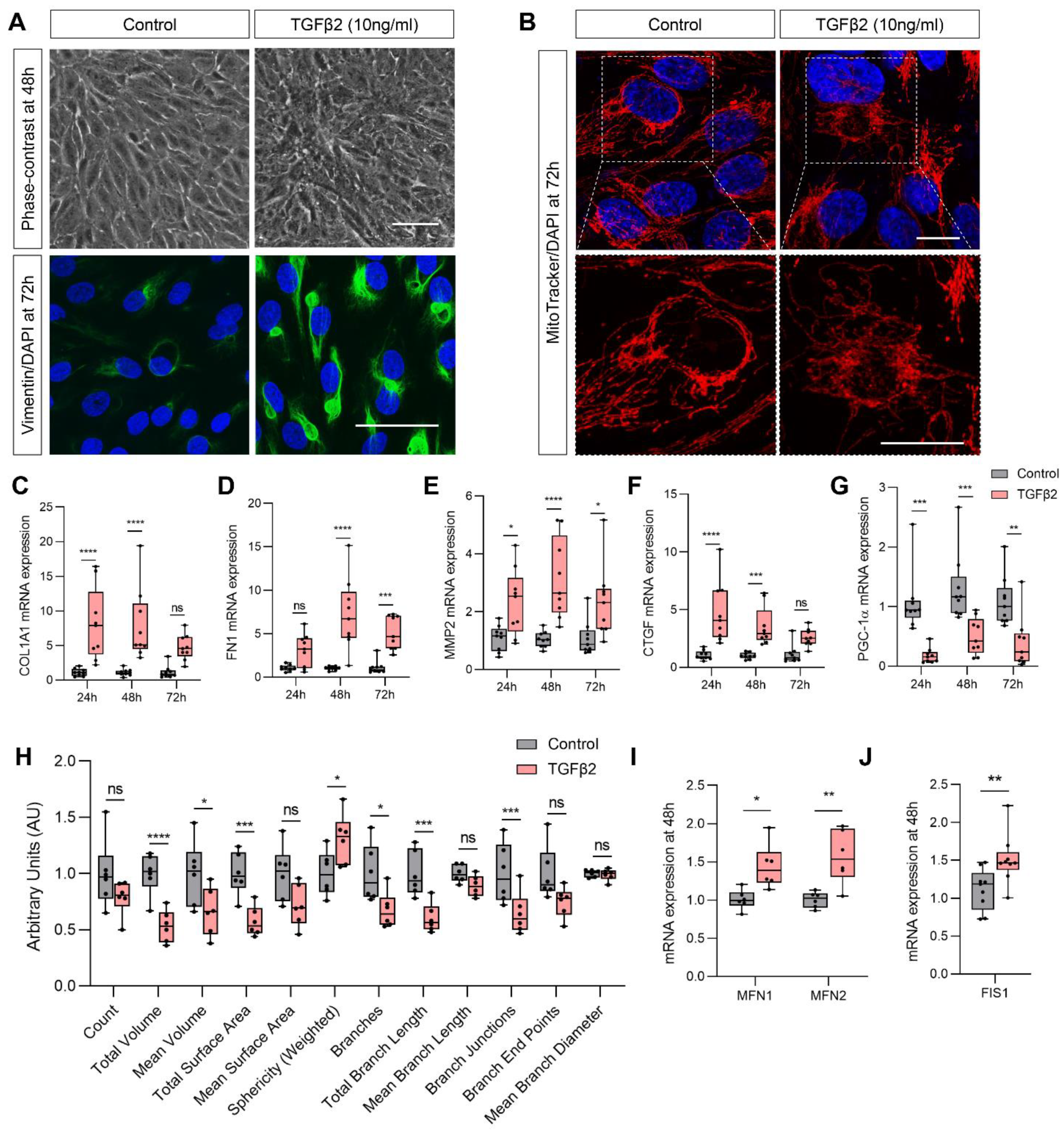 Ijms 22 04701 g001 Ijms 22 04701 g001