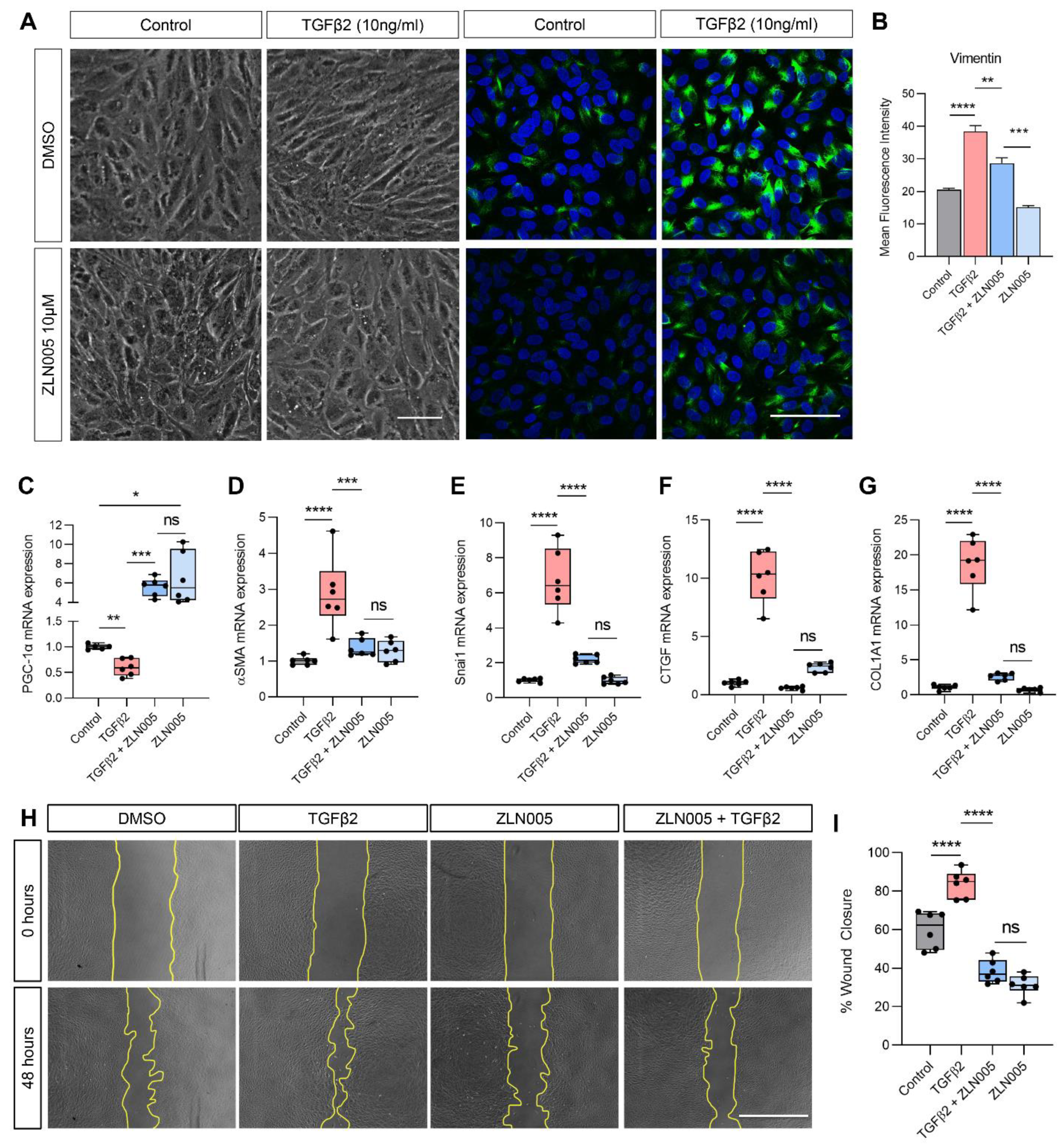 Ijms 22 04701 g004 Ijms 22 04701 g004