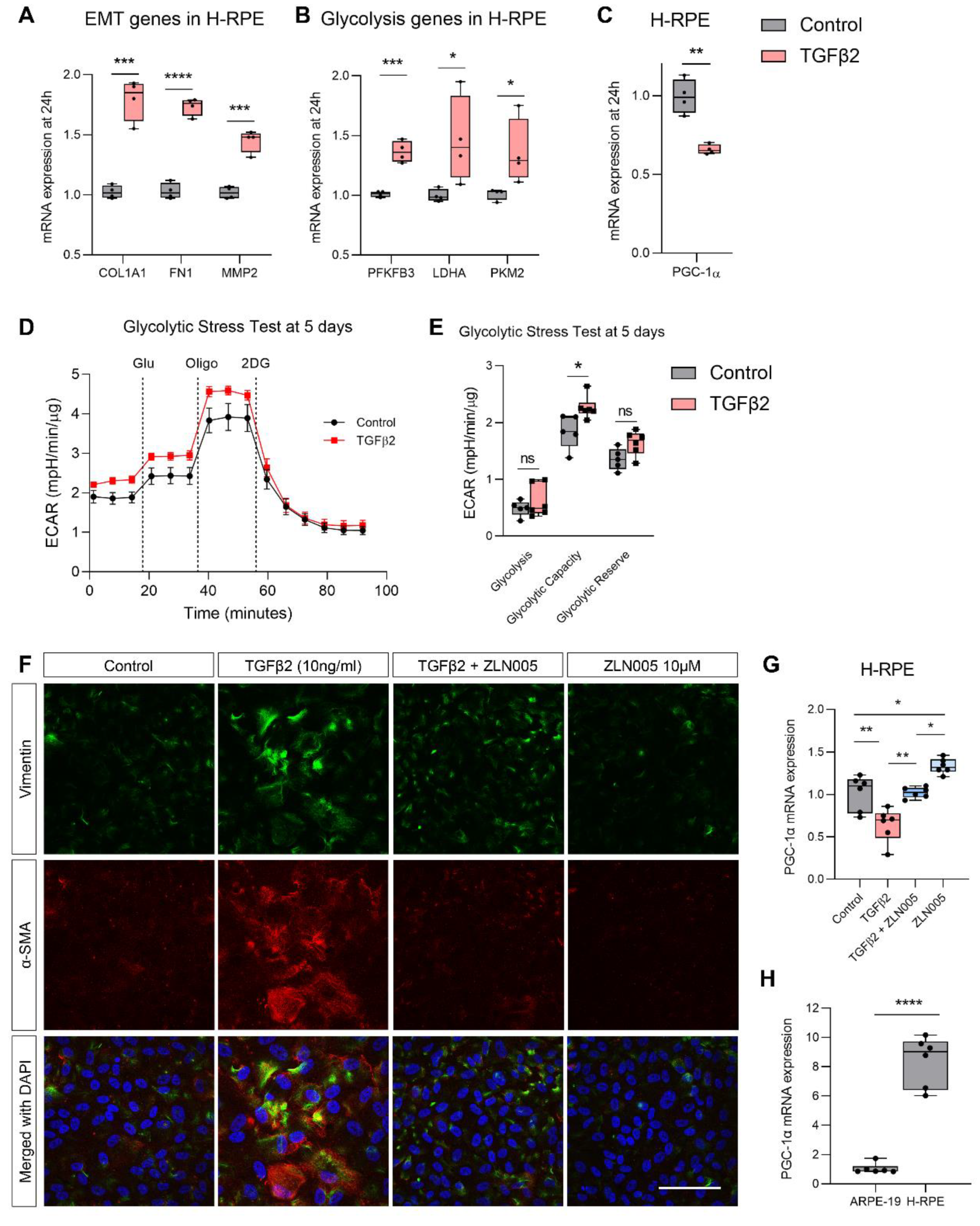 Ijms 22 04701 g005 Ijms 22 04701 g005