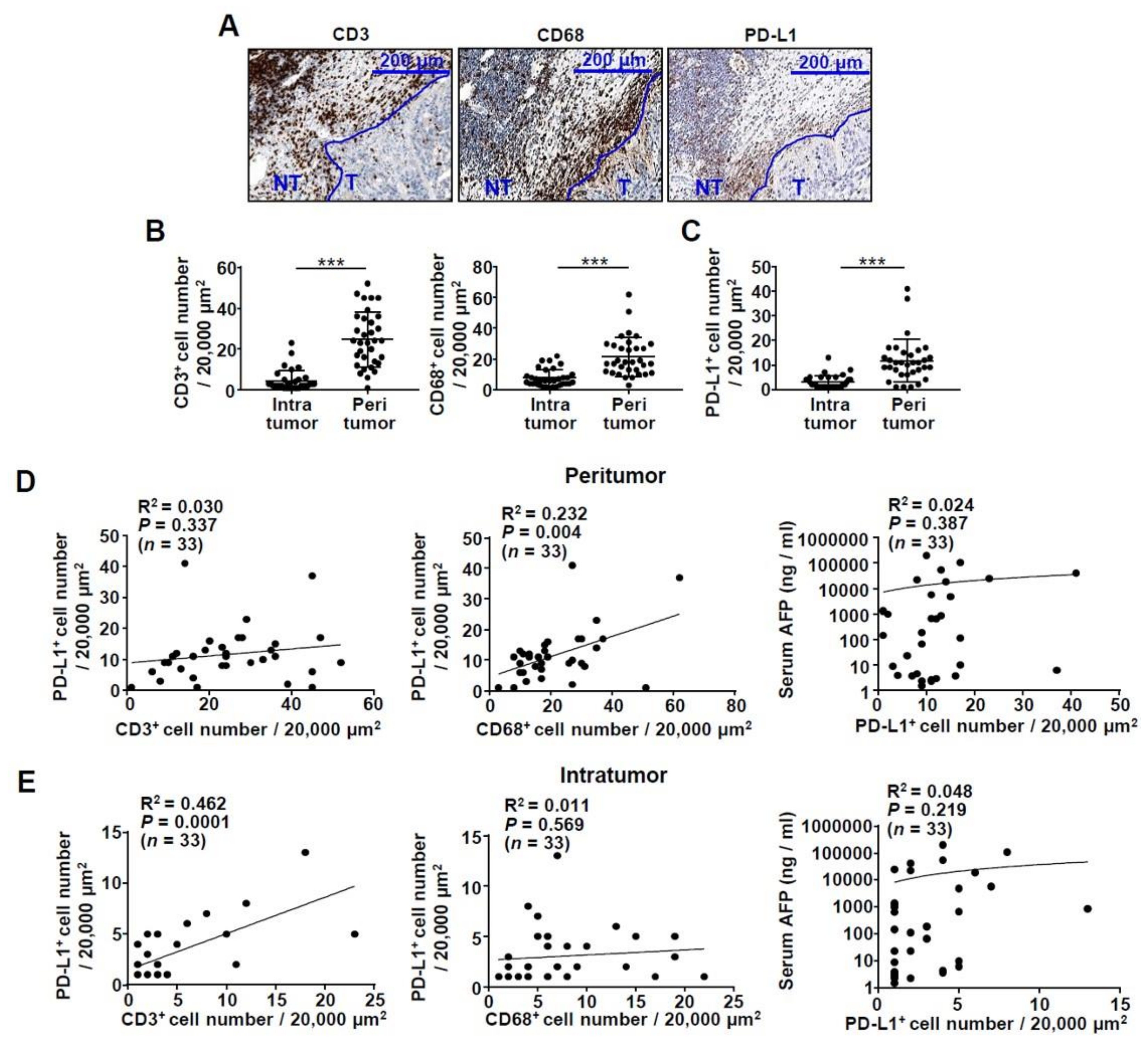 IJMS | Free Full-Text | Preferential Expression of Programmed