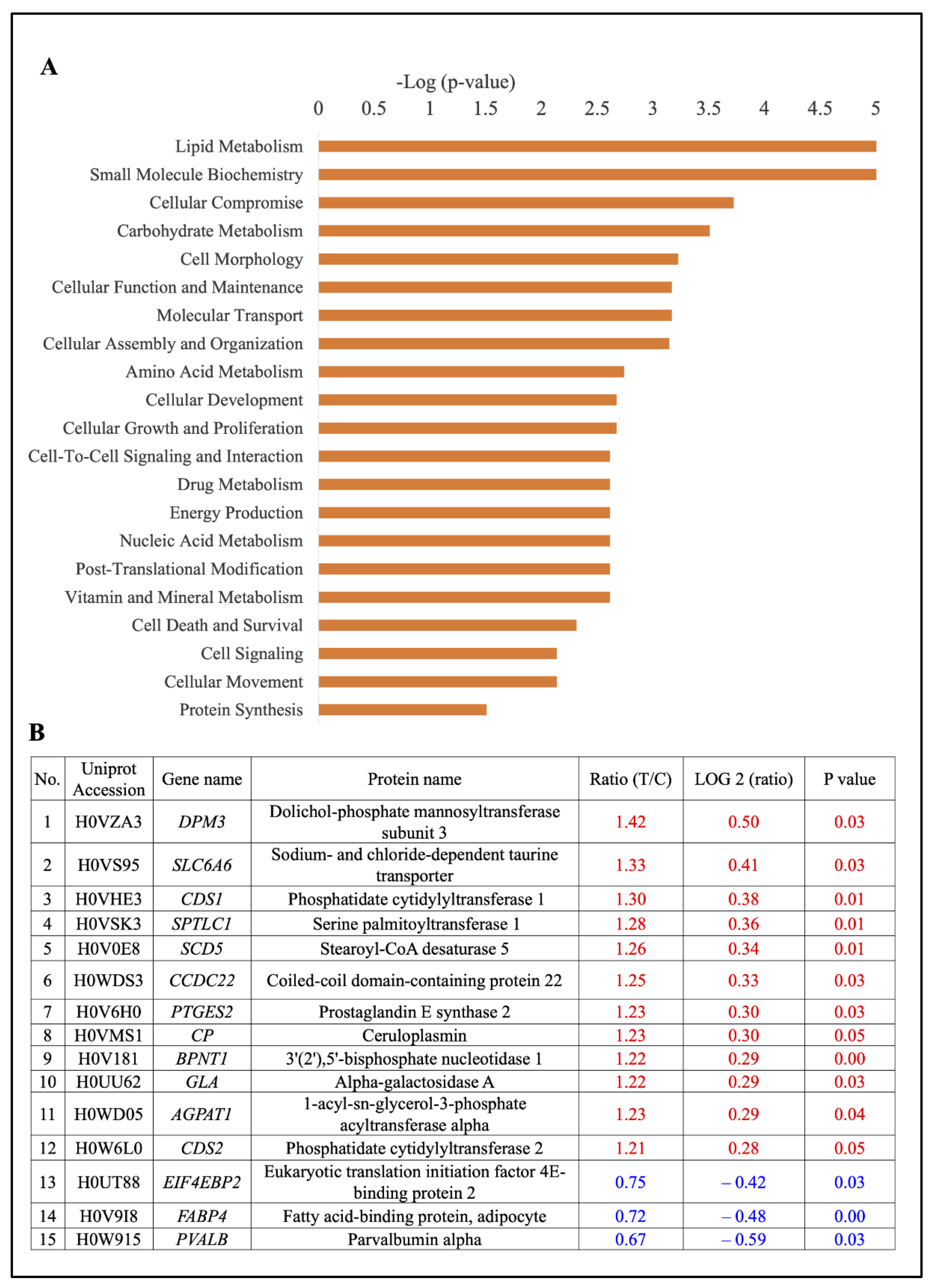 Ijms 22 04721 g005 Ijms 22 04721 g005