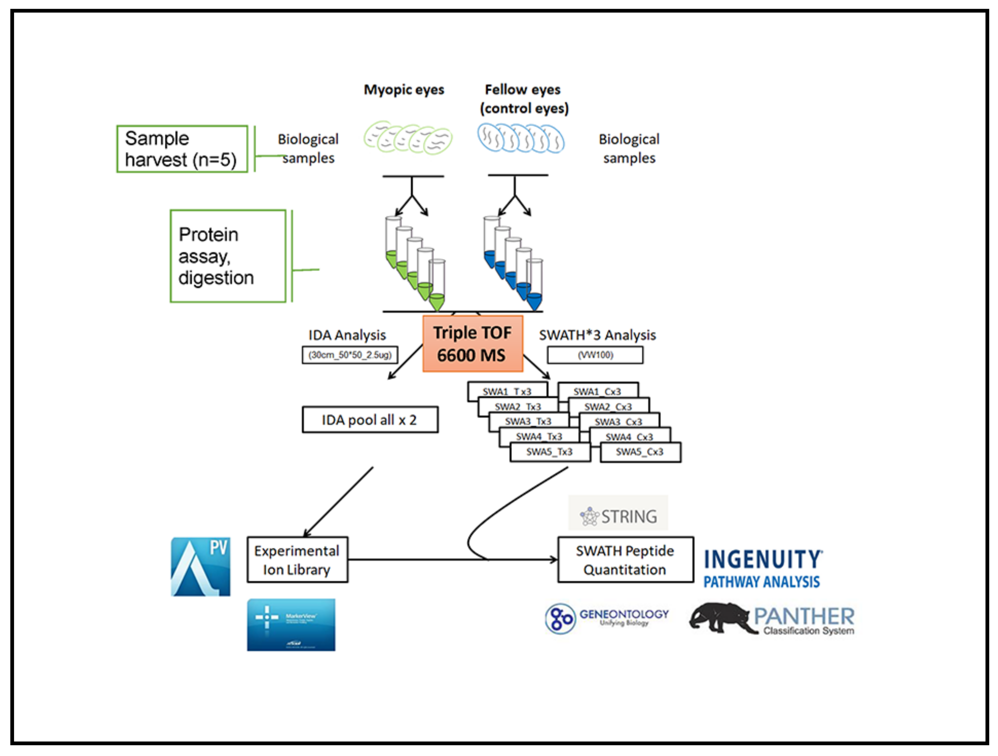 Ijms 22 04721 g006 Ijms 22 04721 g006