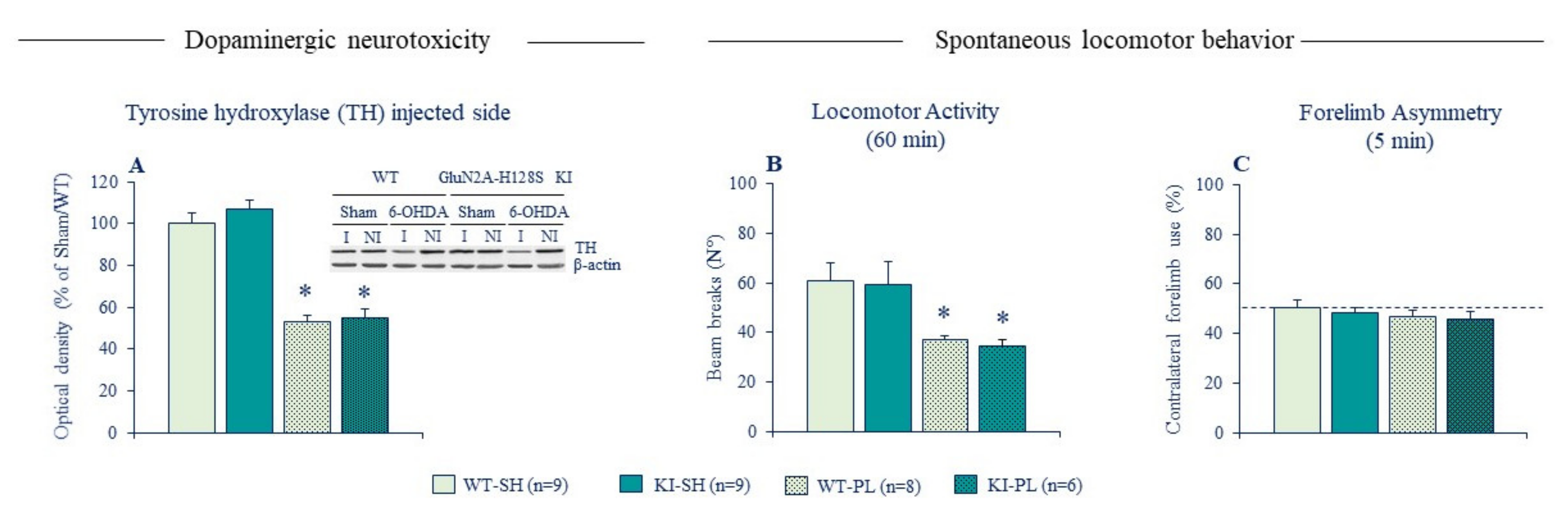 Ijms 22 04724 g004 Ijms 22 04724 g004