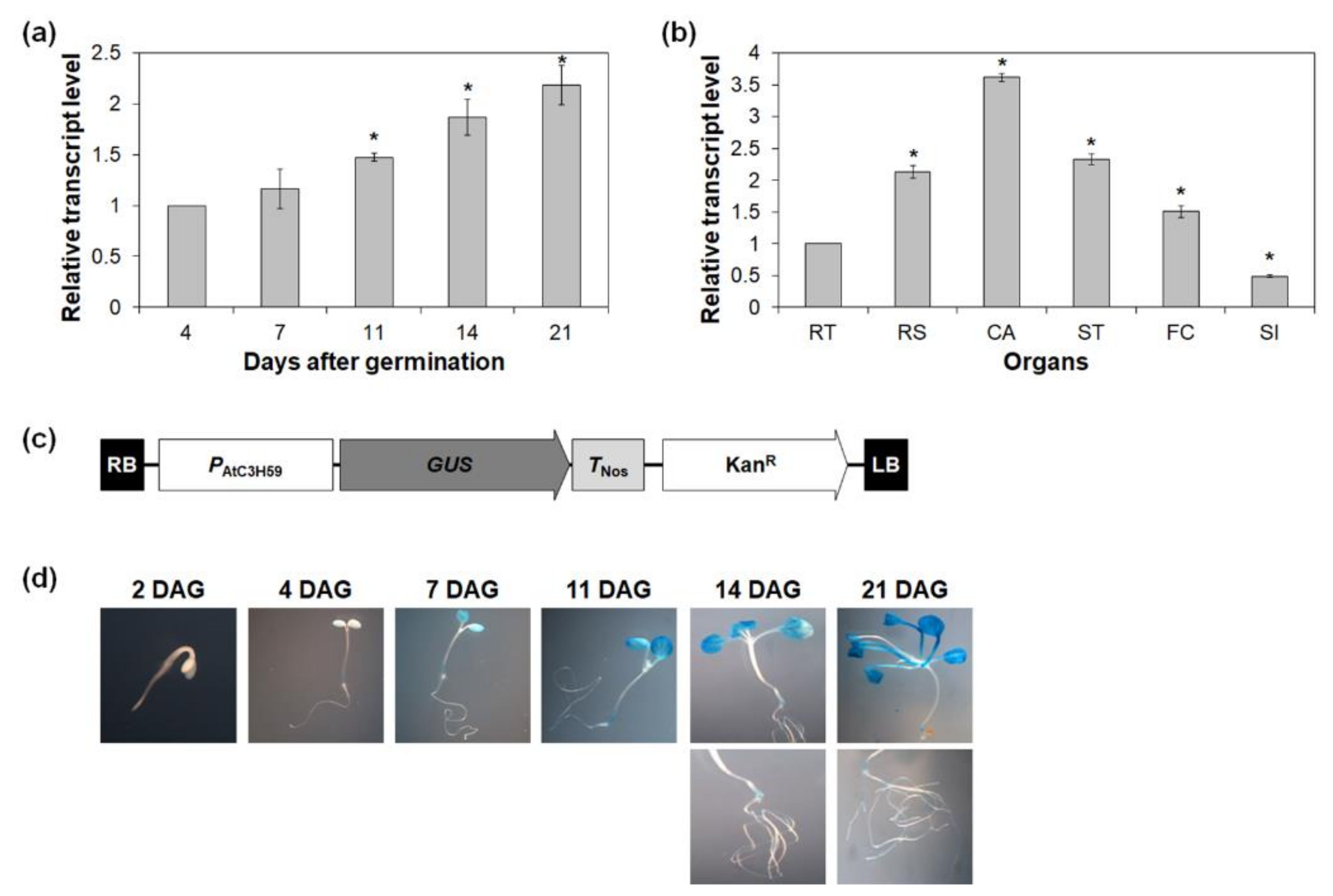 Ijms 22 04738 g002 Ijms 22 04738 g002