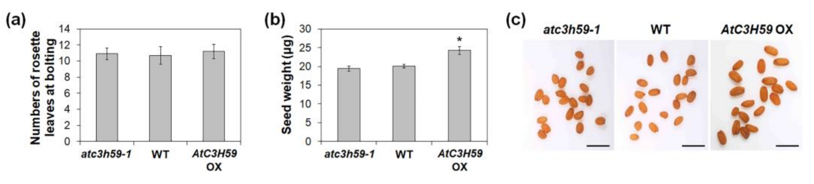 Ijms 22 04738 g006 Ijms 22 04738 g006