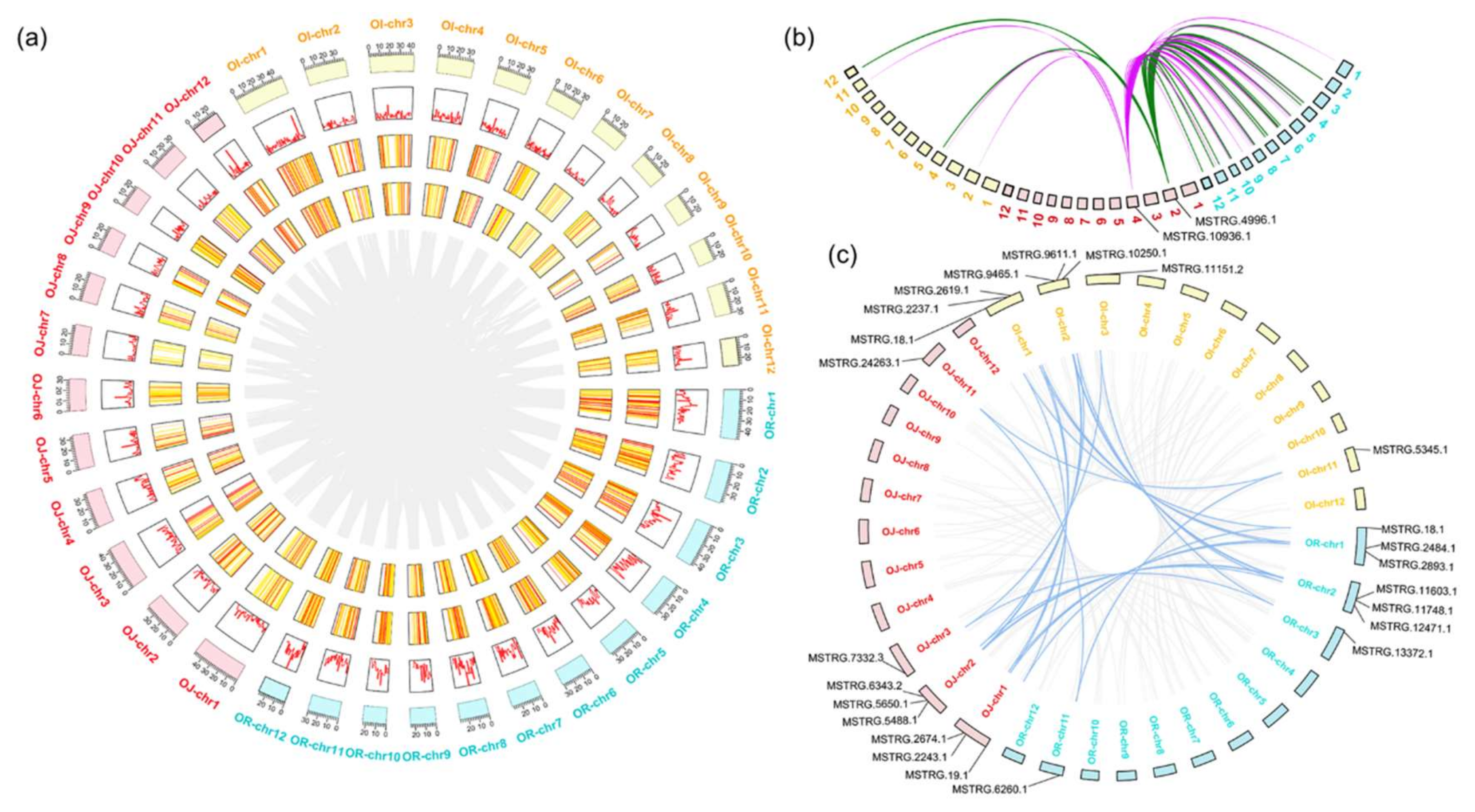 Ijms 22 04742 g004 Ijms 22 04742 g004