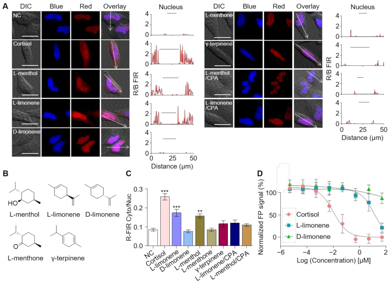 Ijms 22 04747 g005 Ijms 22 04747 g005