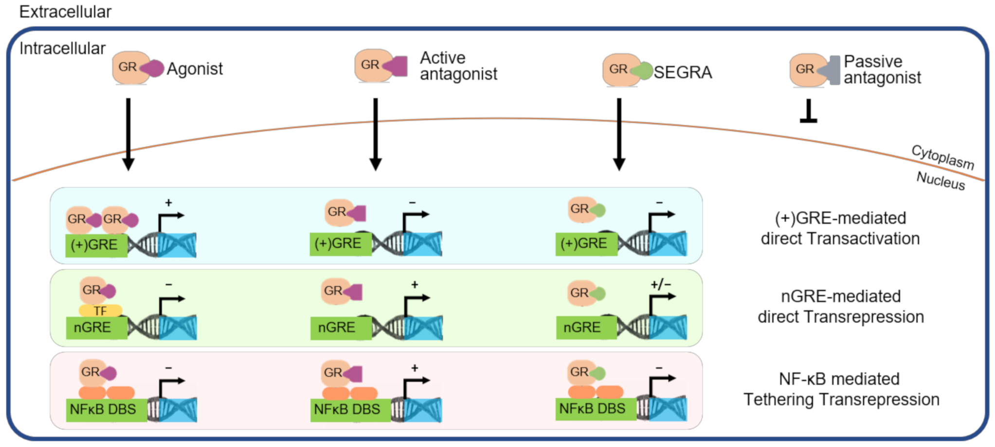 Ijms 22 04747 sch001 Ijms 22 04747 sch001