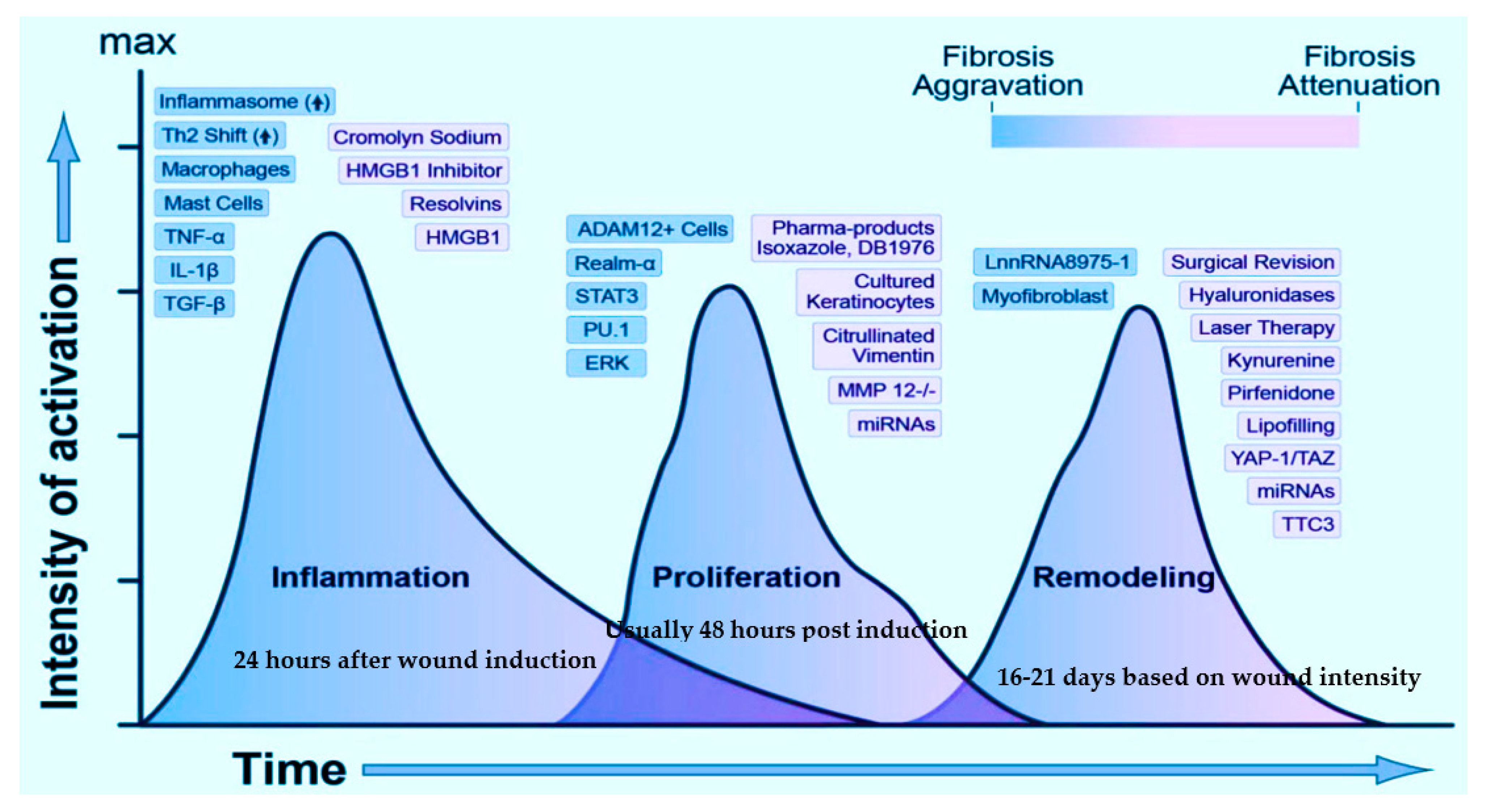 Ijms 22 04748 g001 Ijms 22 04748 g001
