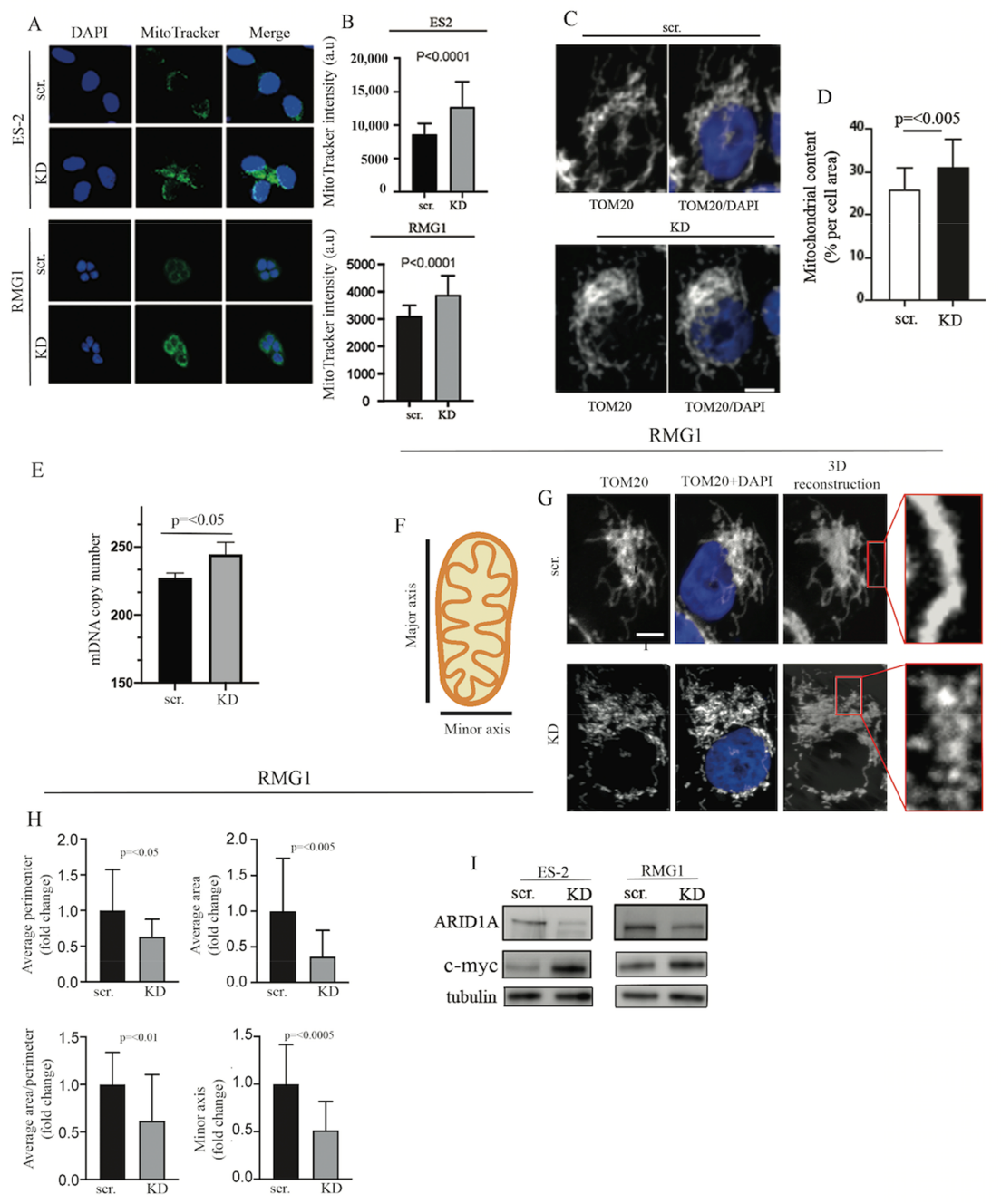 Ijms 22 04750 g003 Ijms 22 04750 g003