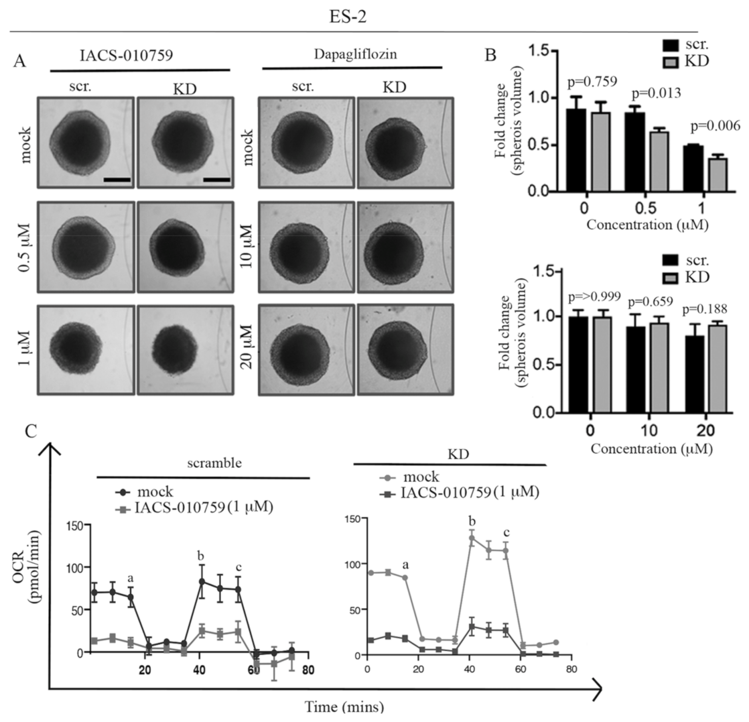 Ijms 22 04750 g005 Ijms 22 04750 g005