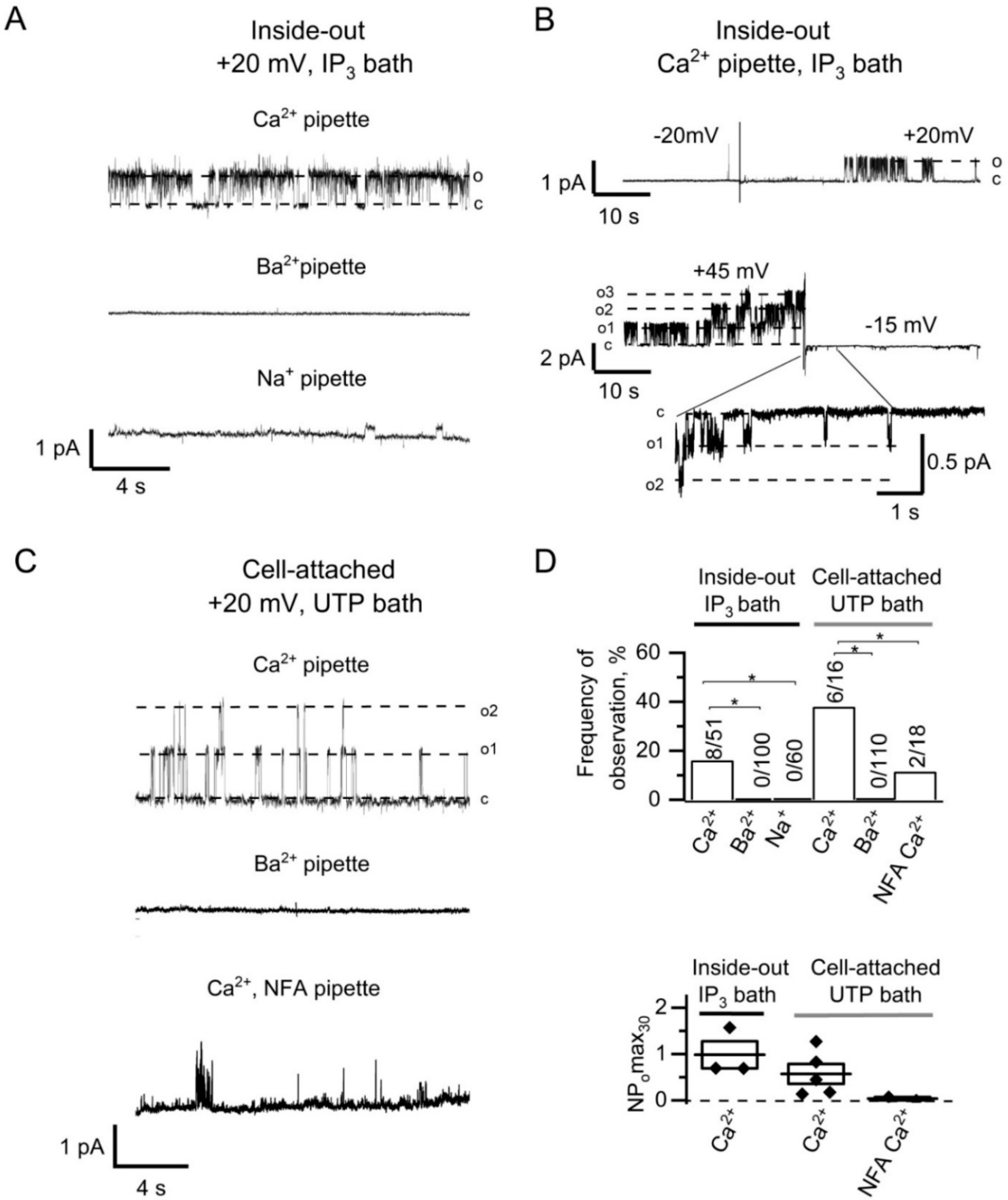 Ijms 22 04767 g002 Ijms 22 04767 g002