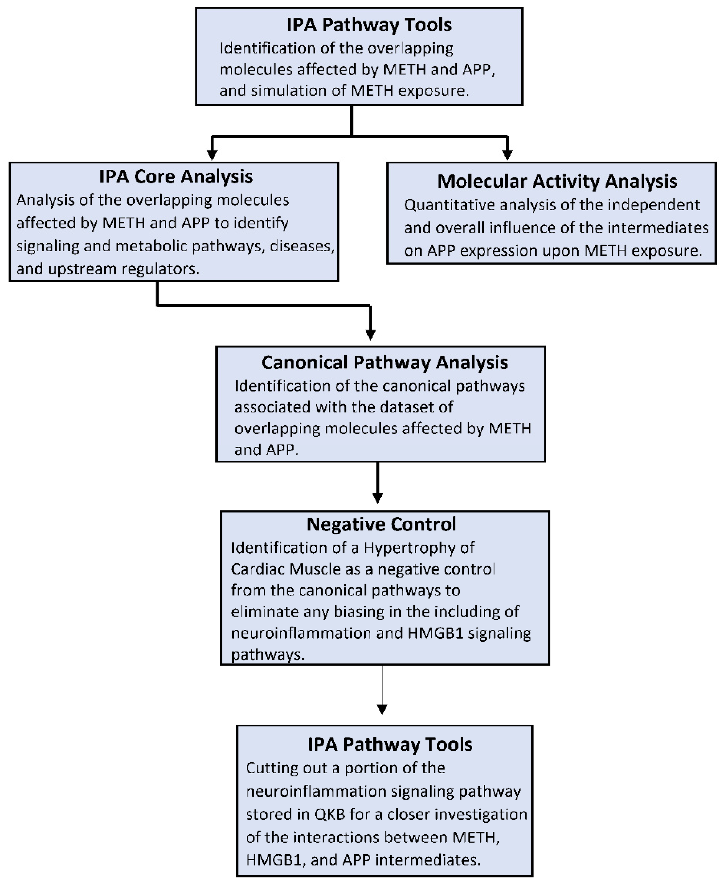 Ijms 22 04781 g001 Ijms 22 04781 g001