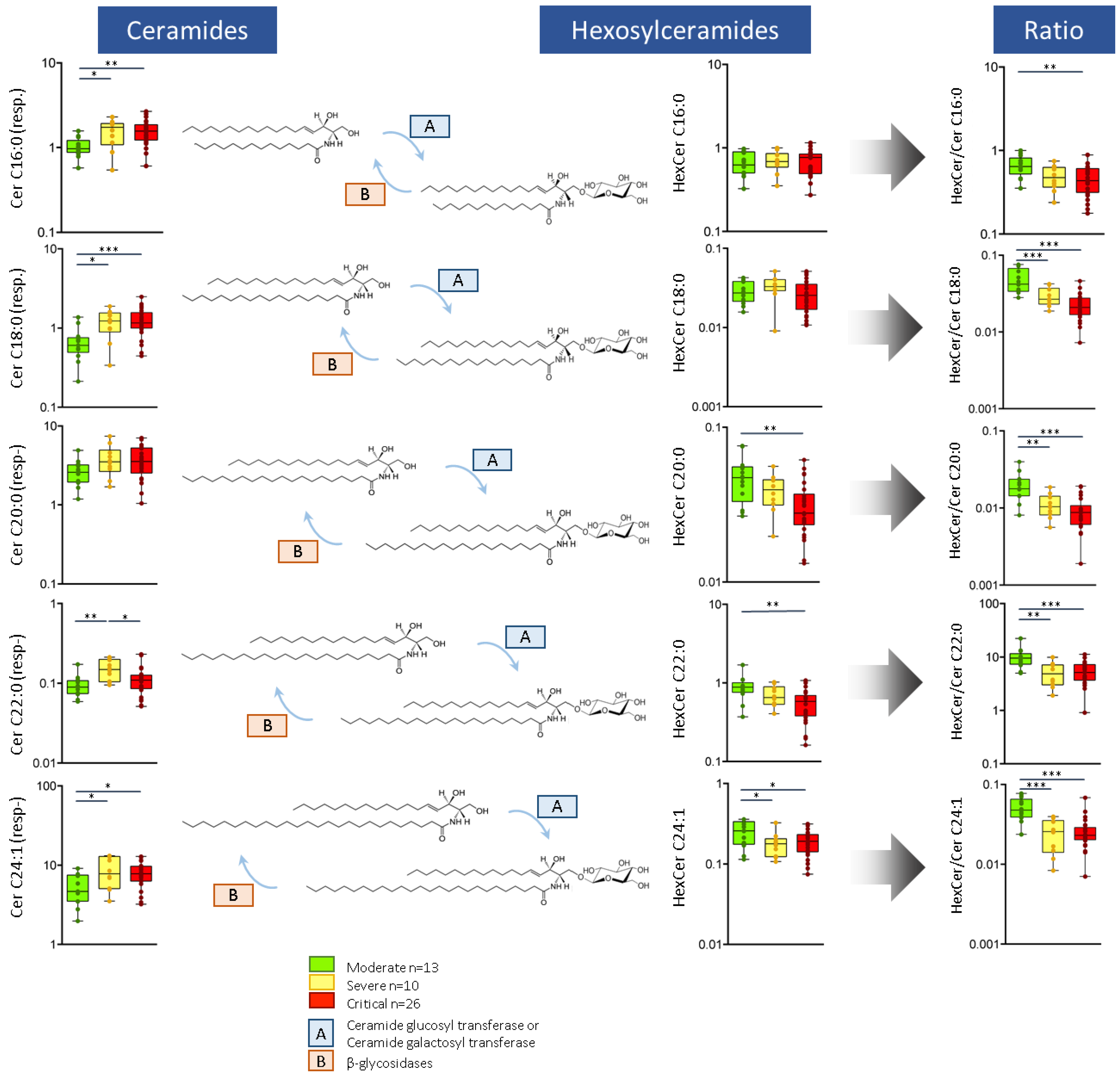 Ijms 22 04794 g002 Ijms 22 04794 g002