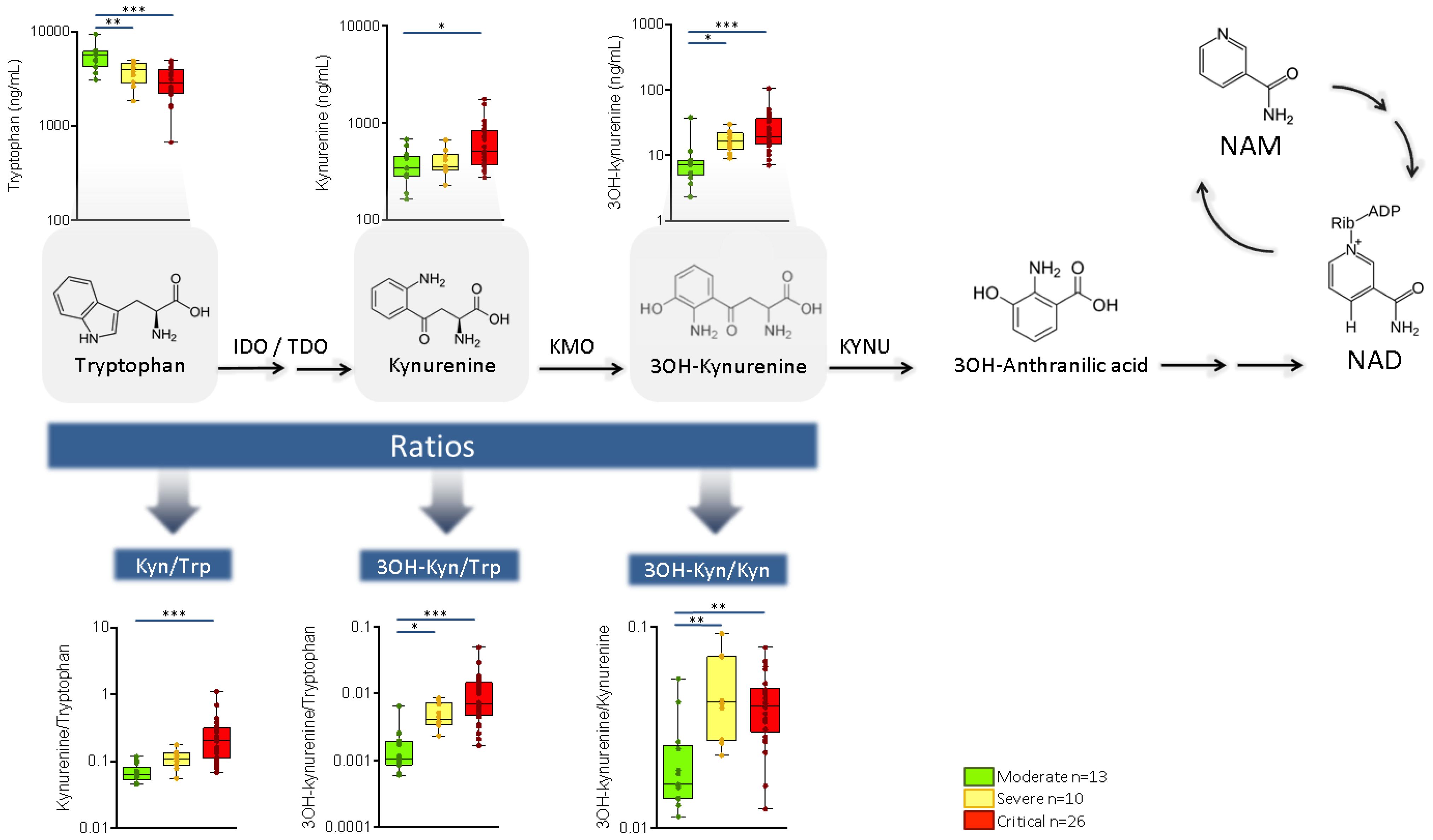 Ijms 22 04794 g003 Ijms 22 04794 g003