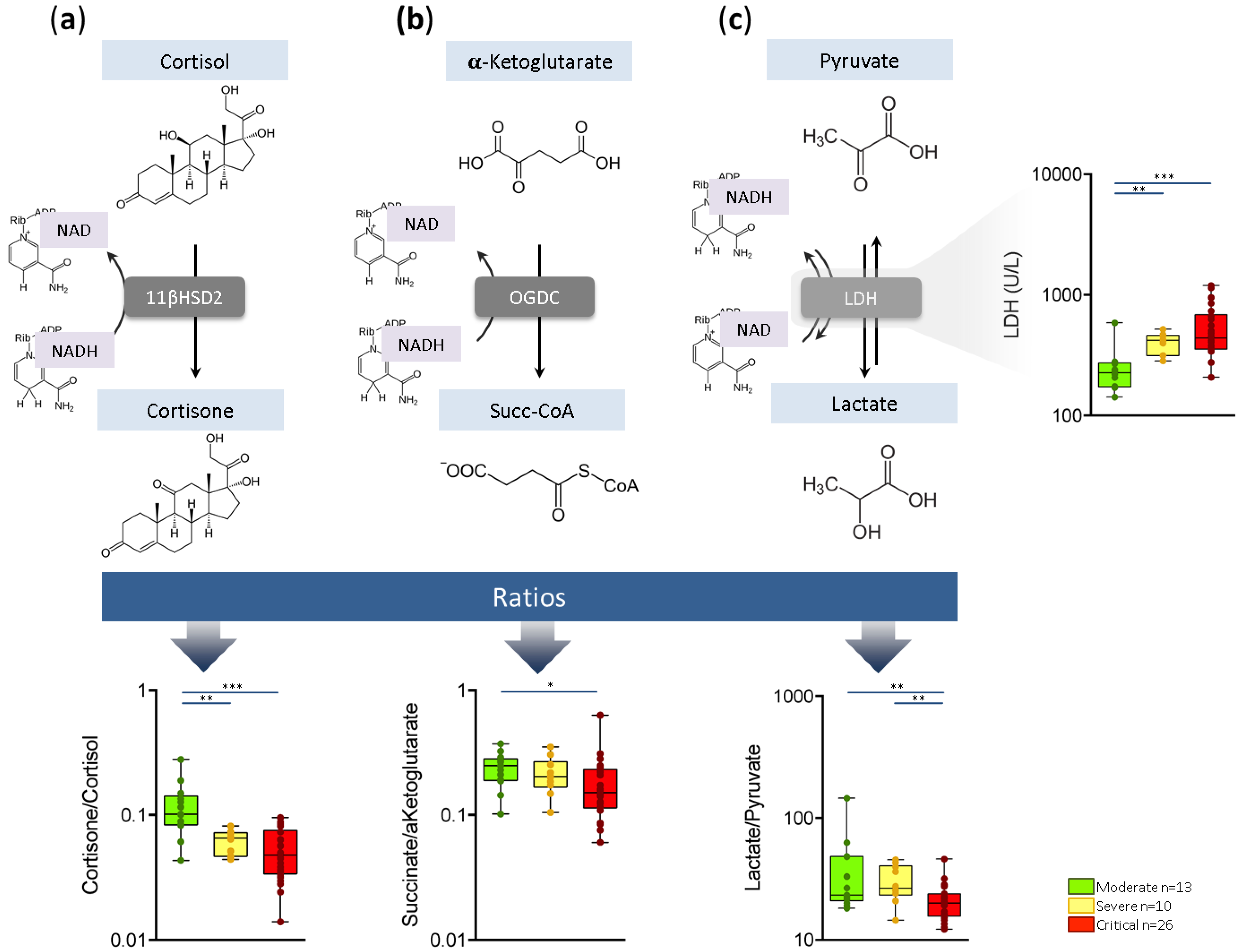 Ijms 22 04794 g004 Ijms 22 04794 g004