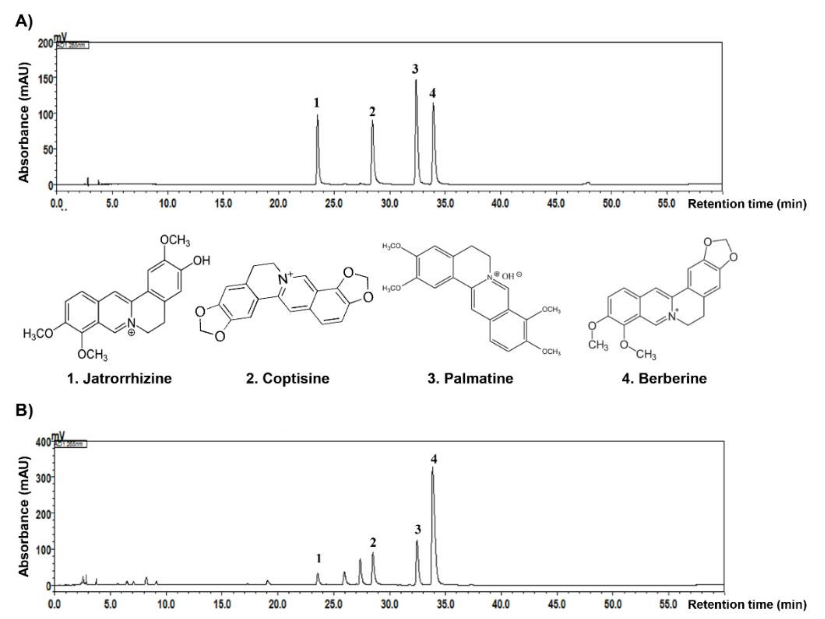 Ijms 22 04797 g007 Ijms 22 04797 g007