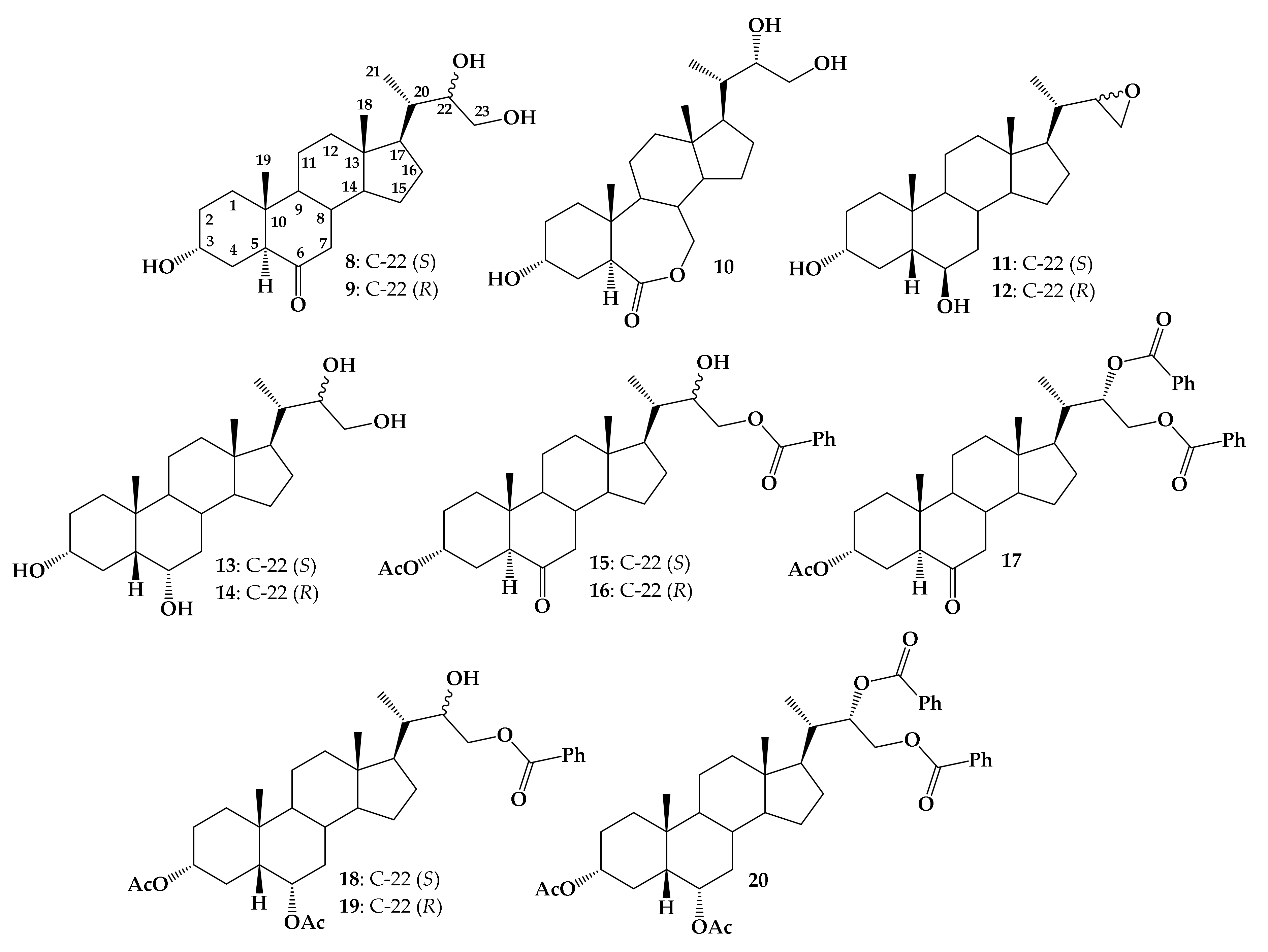 Ijms 22 04808 g002 Ijms 22 04808 g002