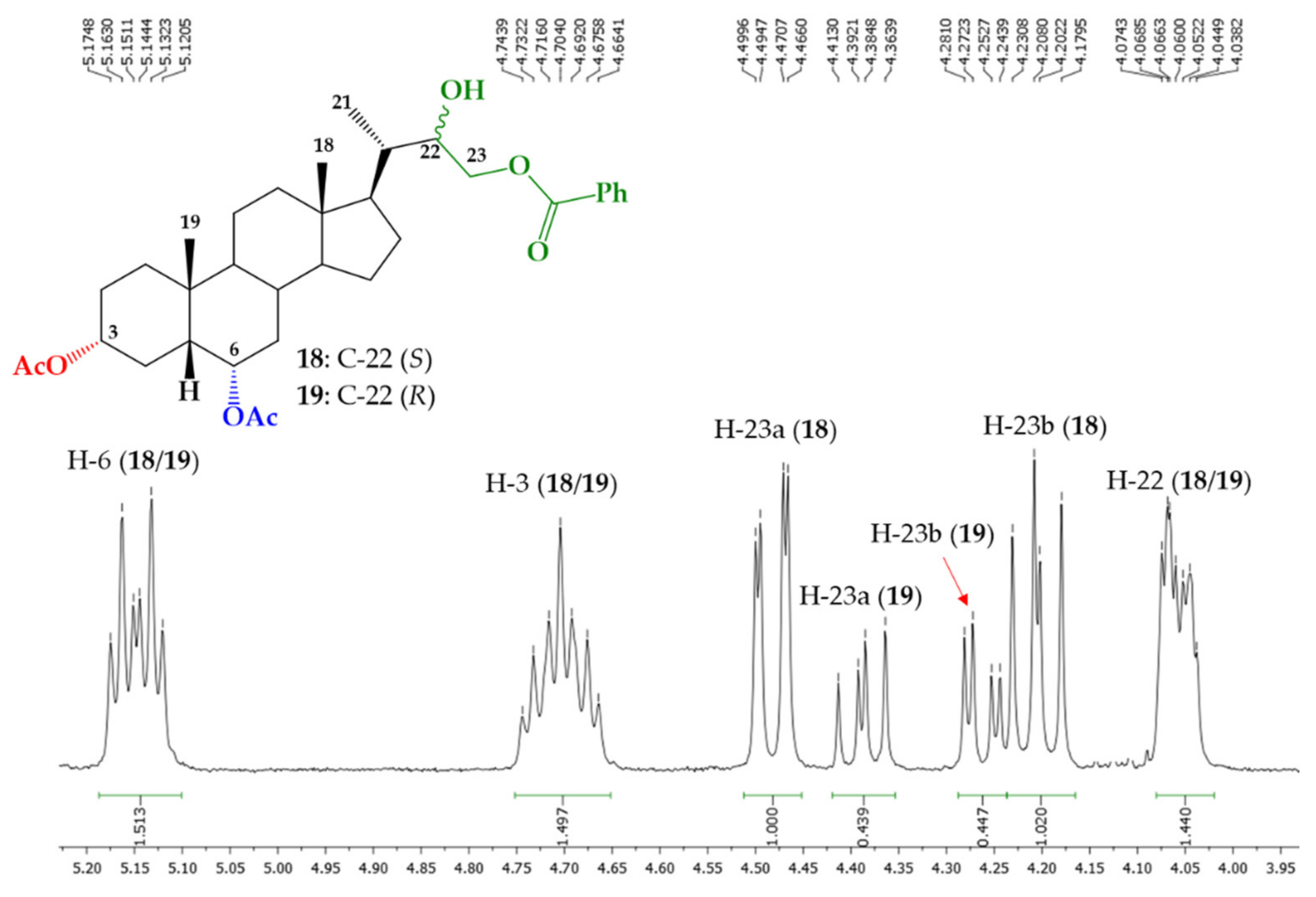 Ijms 22 04808 g004 Ijms 22 04808 g004