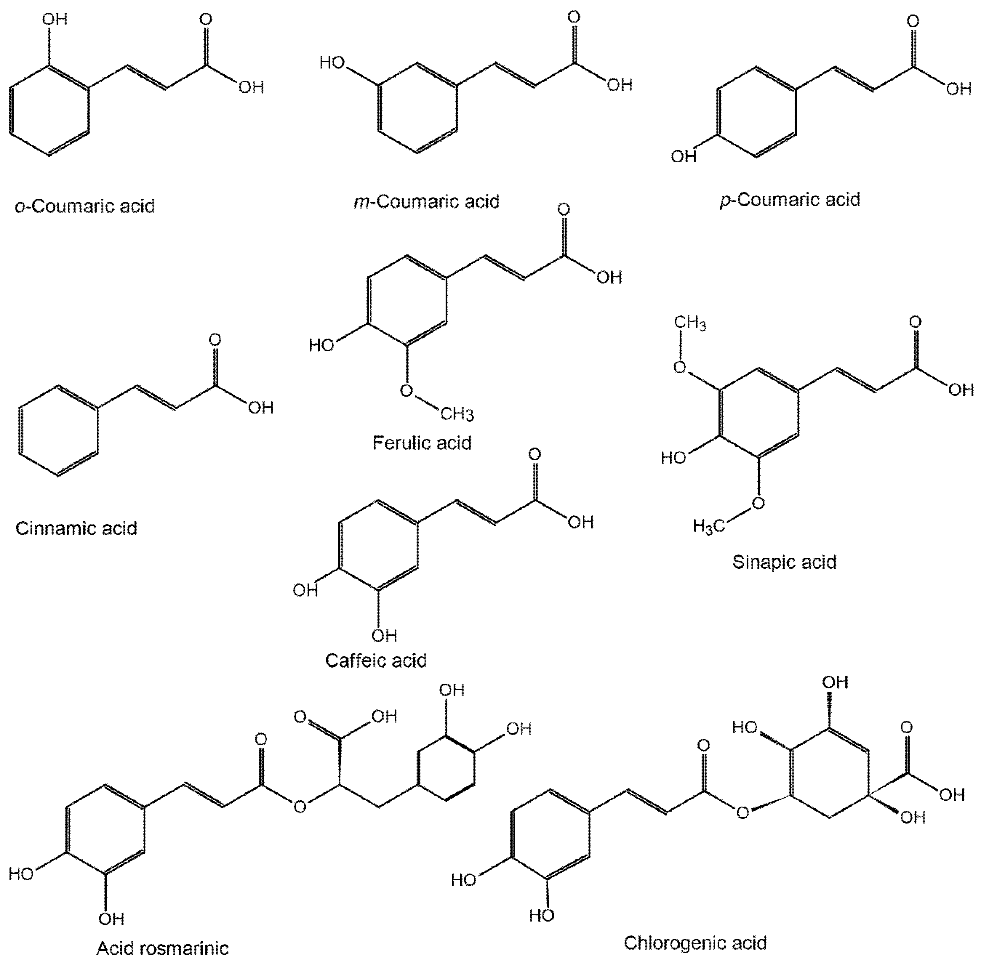 Ijms 22 04811 g001 Ijms 22 04811 g001