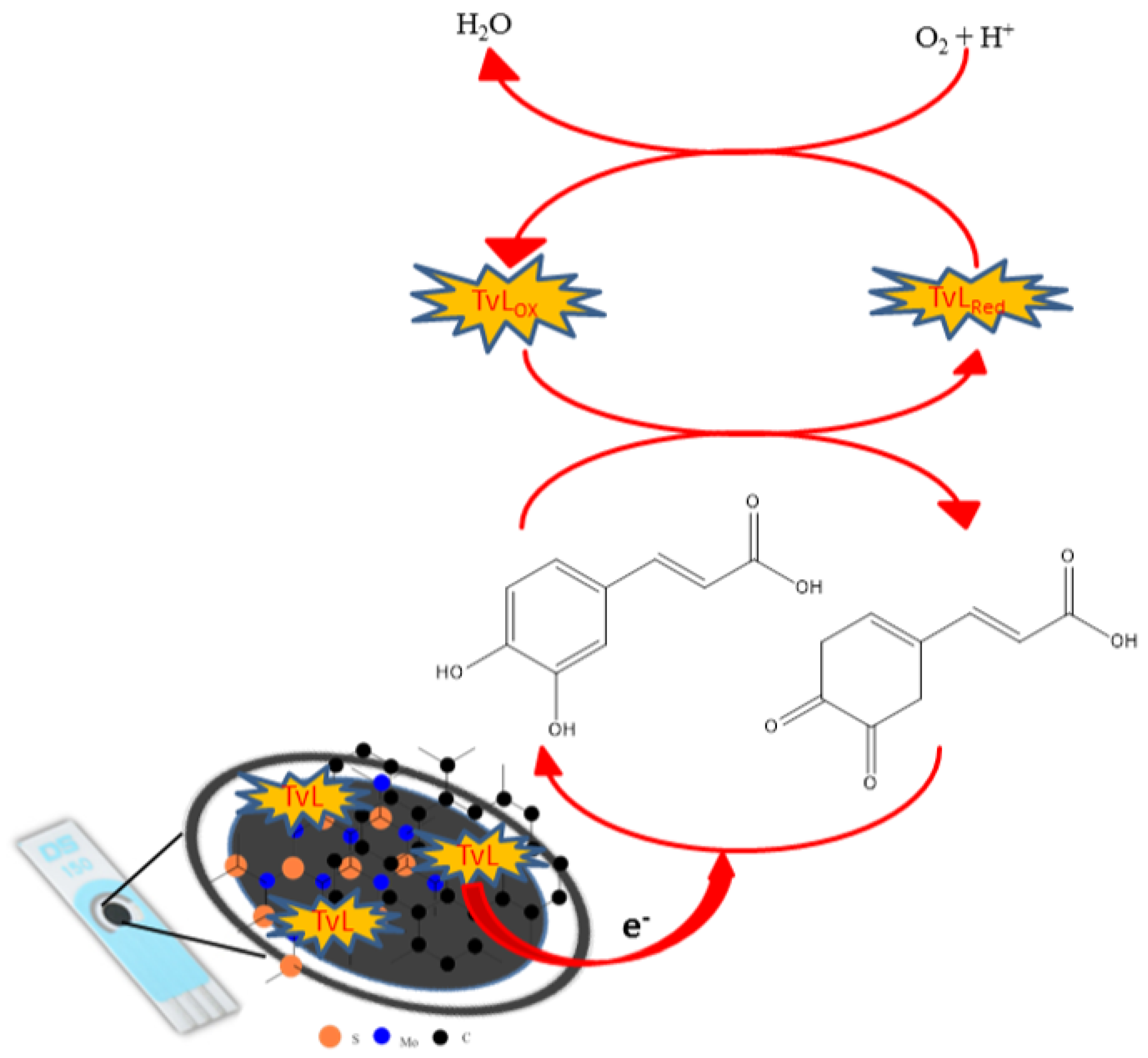 Ijms 22 04811 g009 Ijms 22 04811 g009