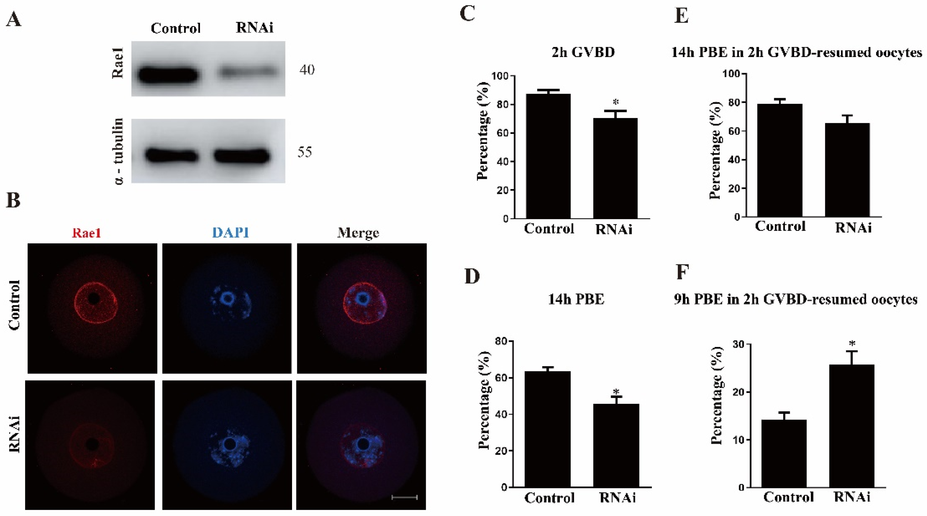 Ijms 22 04841 g002 Ijms 22 04841 g002
