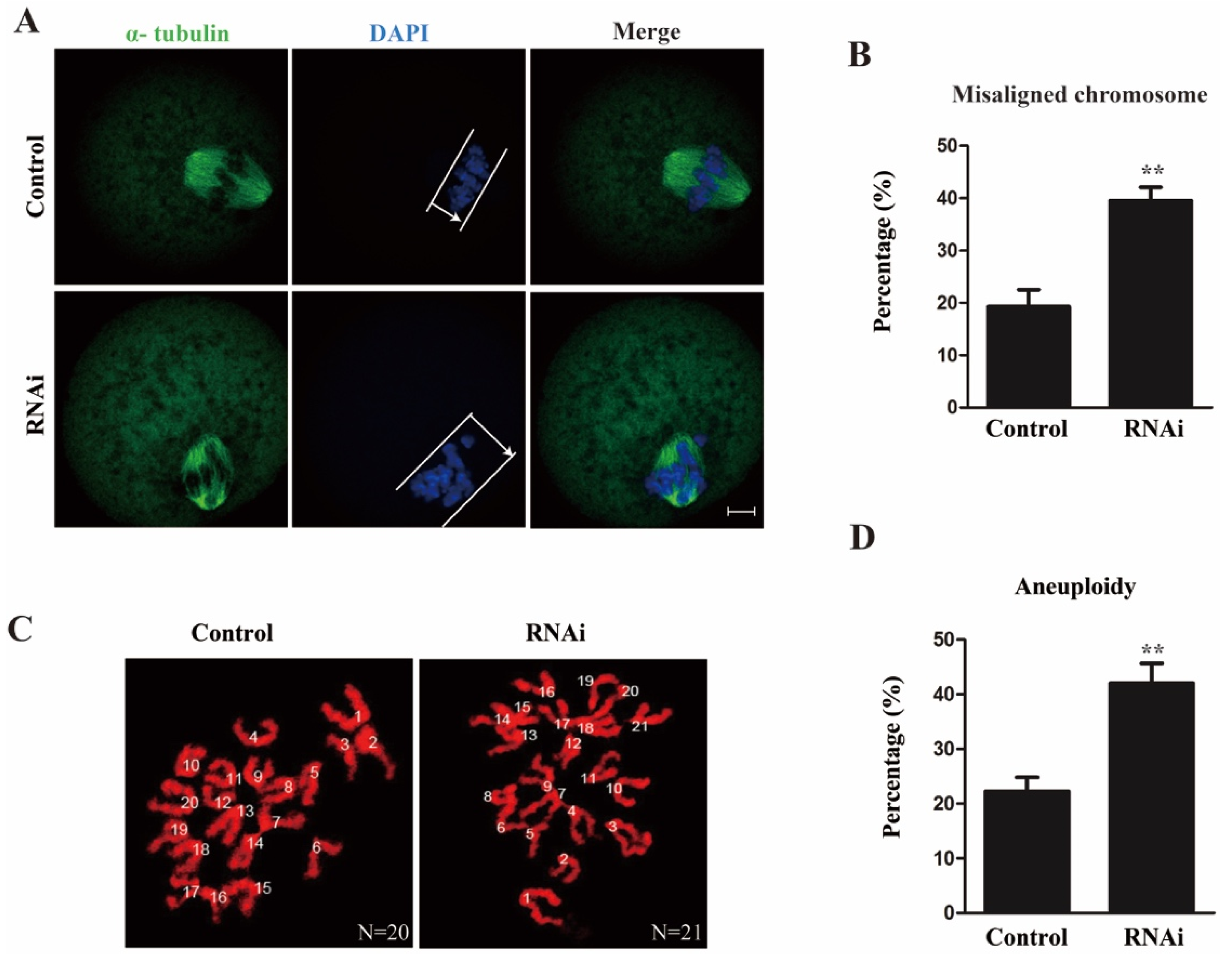 Ijms 22 04841 g003 Ijms 22 04841 g003