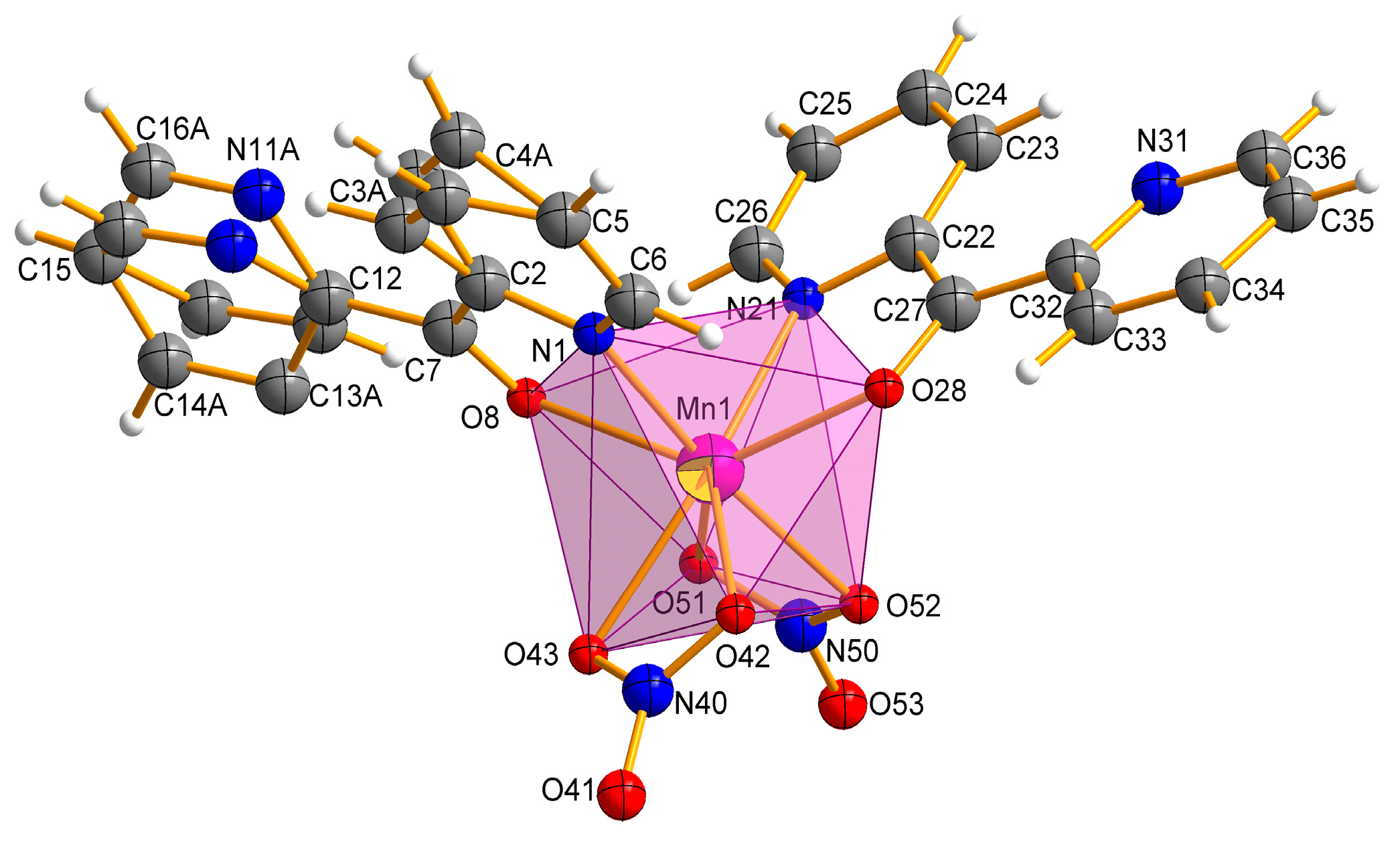 Ijms 22 04847 g002 Ijms 22 04847 g002