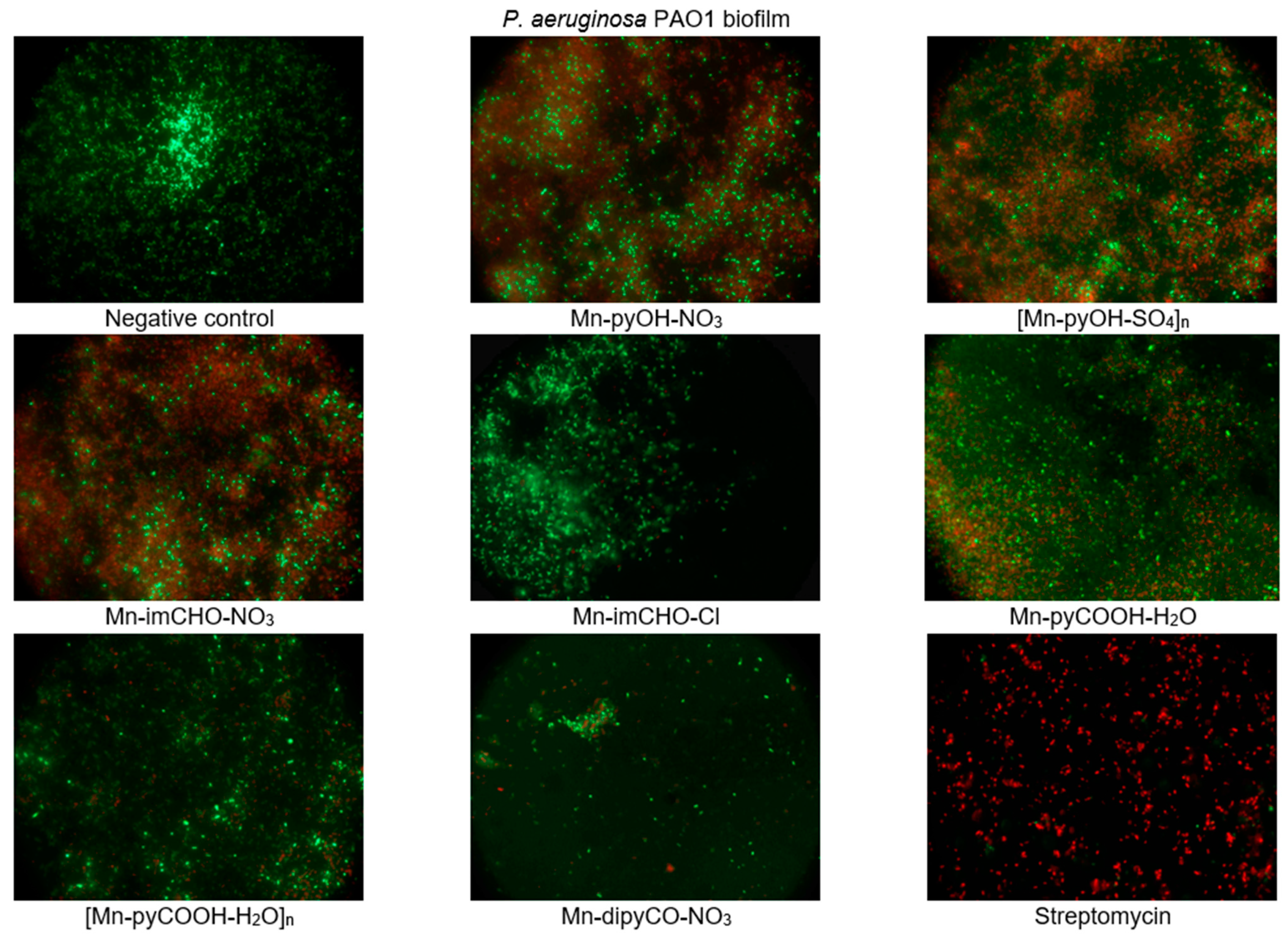 Ijms 22 04847 g009 Ijms 22 04847 g009