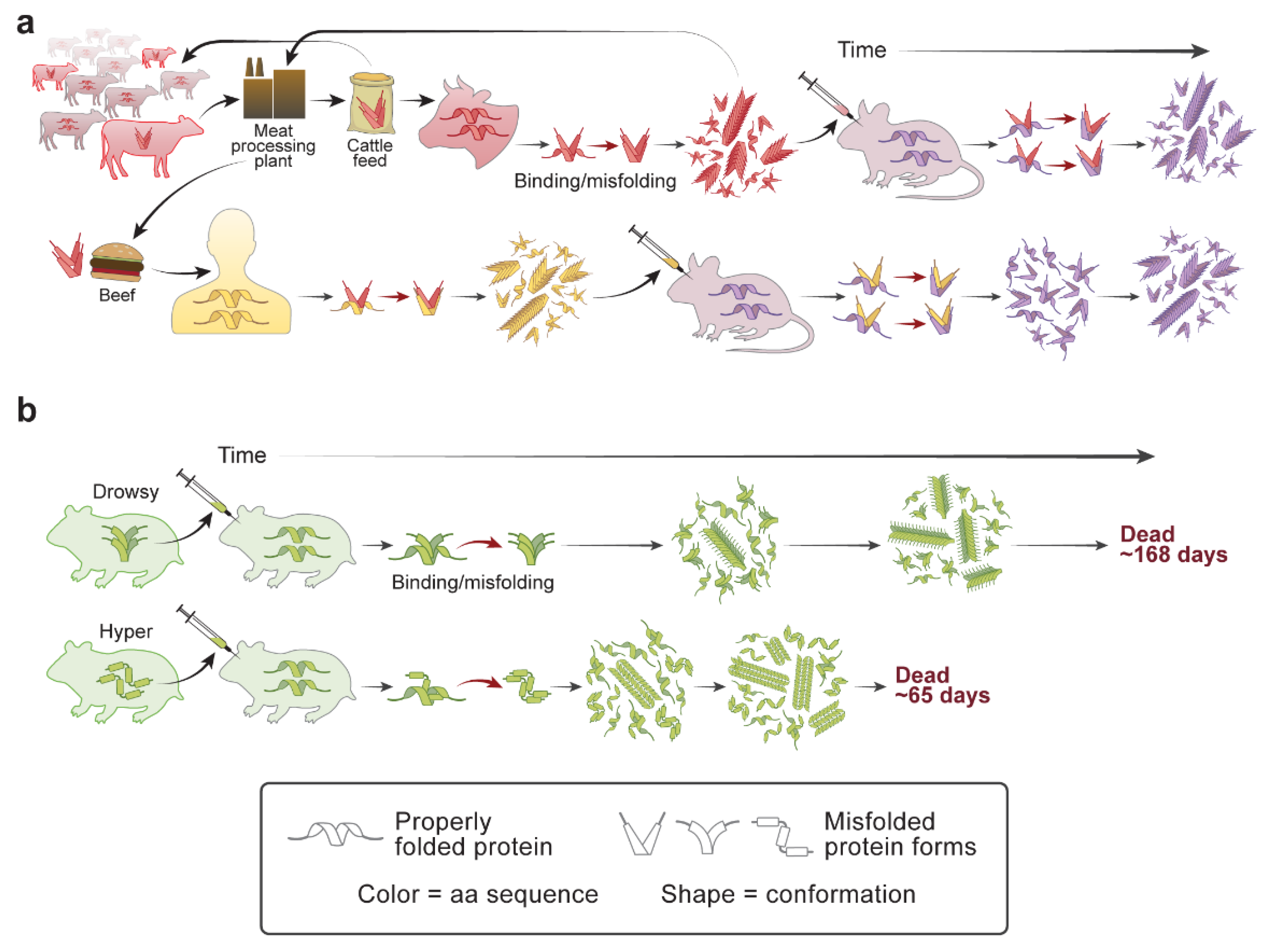 Ijms 22 04861 g003 Ijms 22 04861 g003